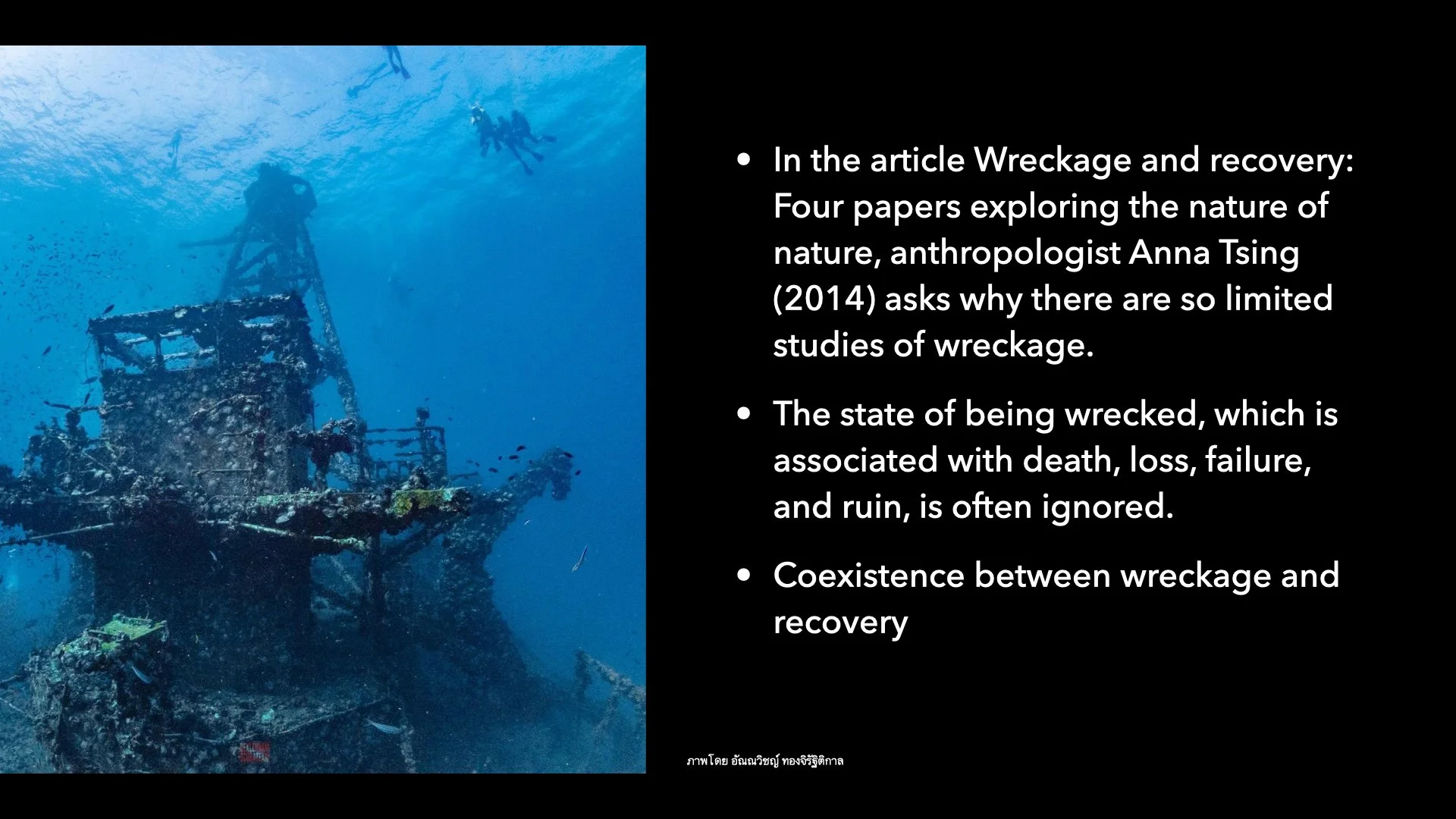 Underwater Aesthetics.066.jpeg