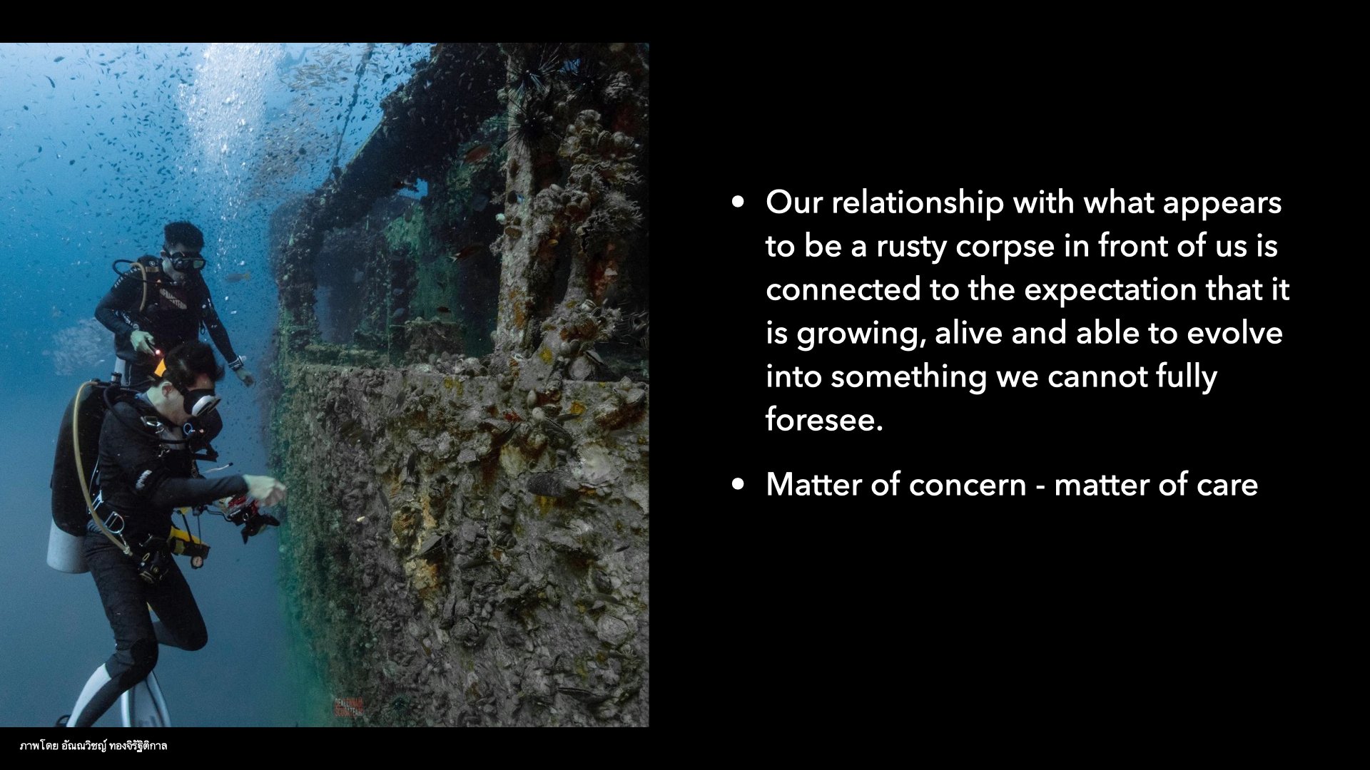 Underwater Aesthetics.070.jpeg