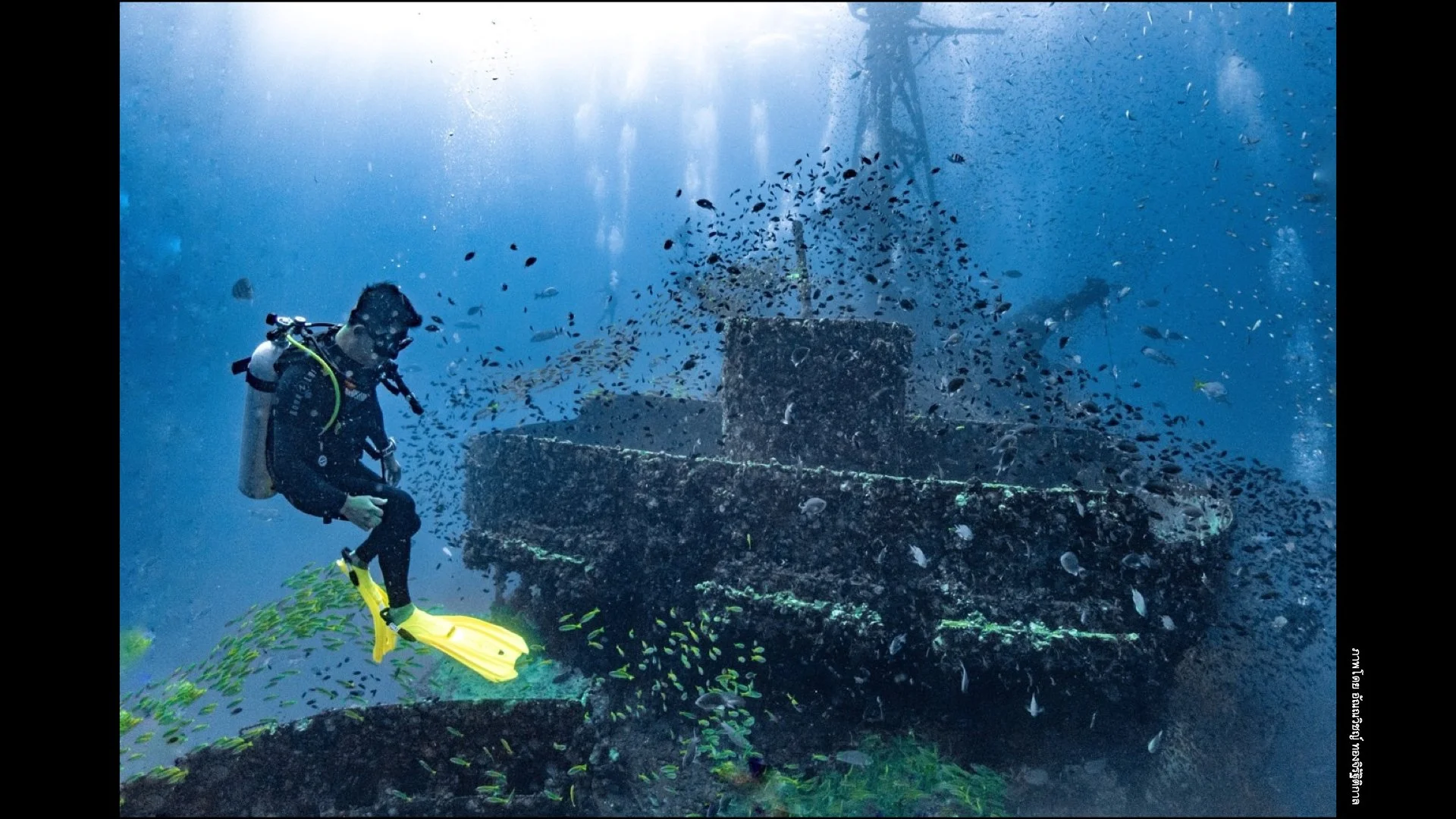 Underwater Aesthetics.071.jpeg