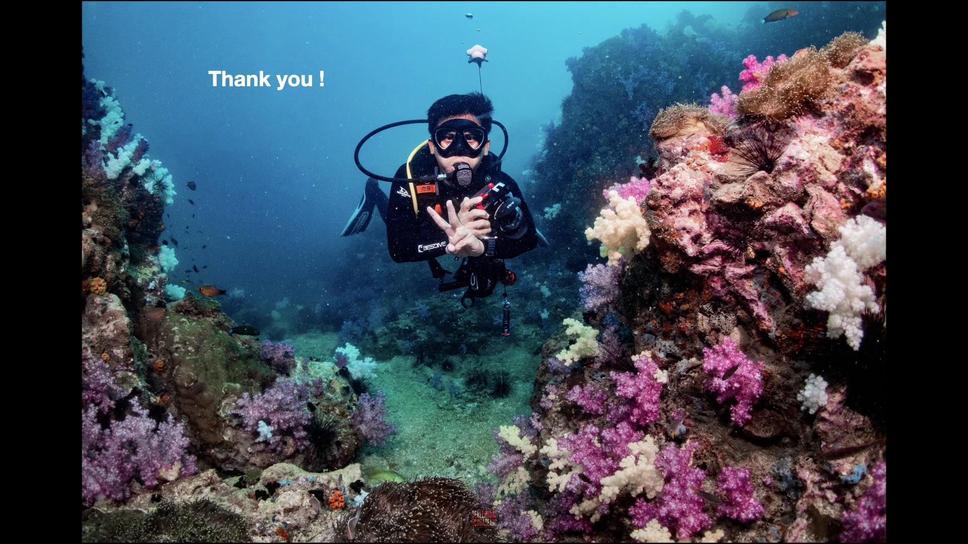 Underwater Aesthetics.073.jpeg