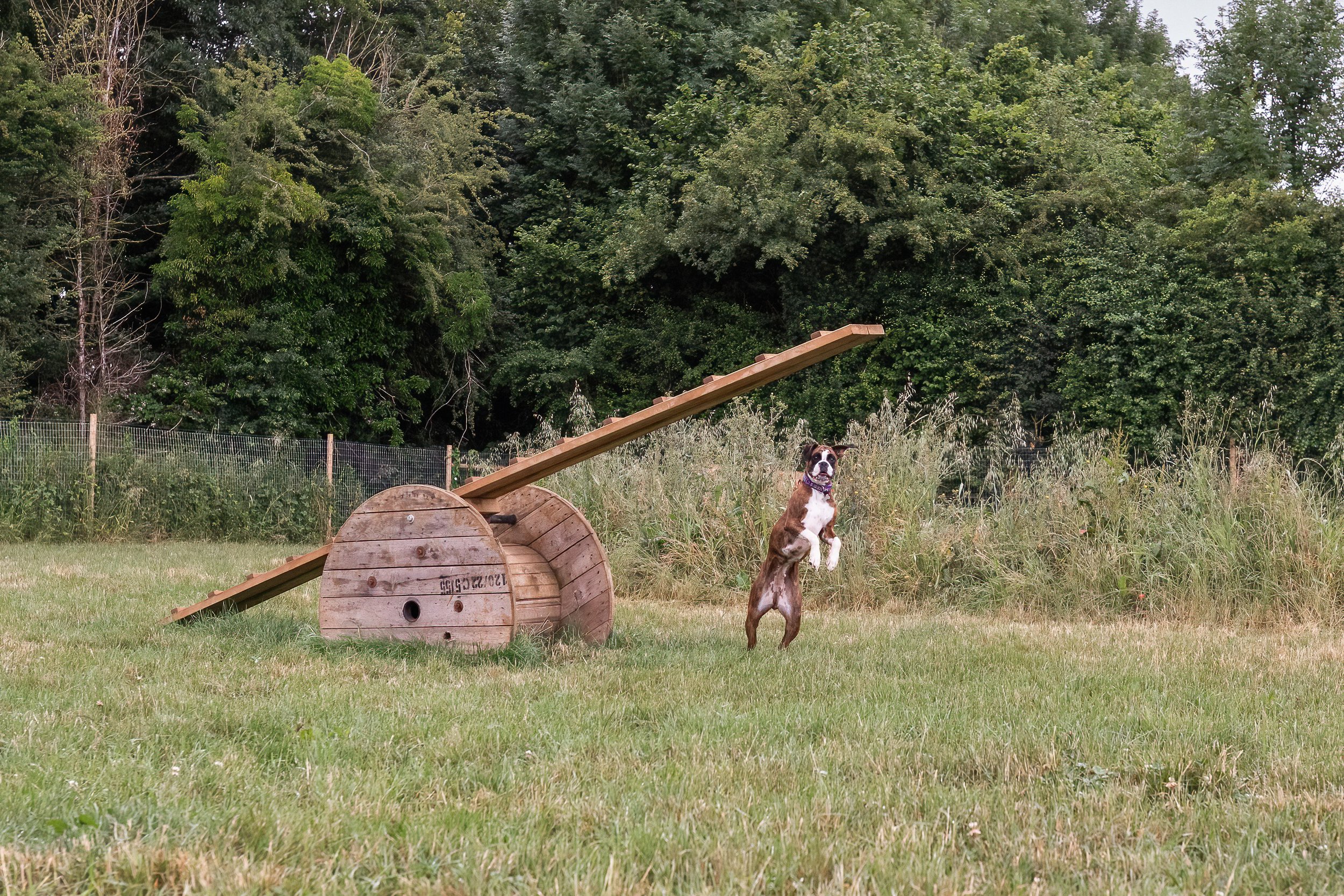 walkies-0038-DeNoiseAI-standard.jpg