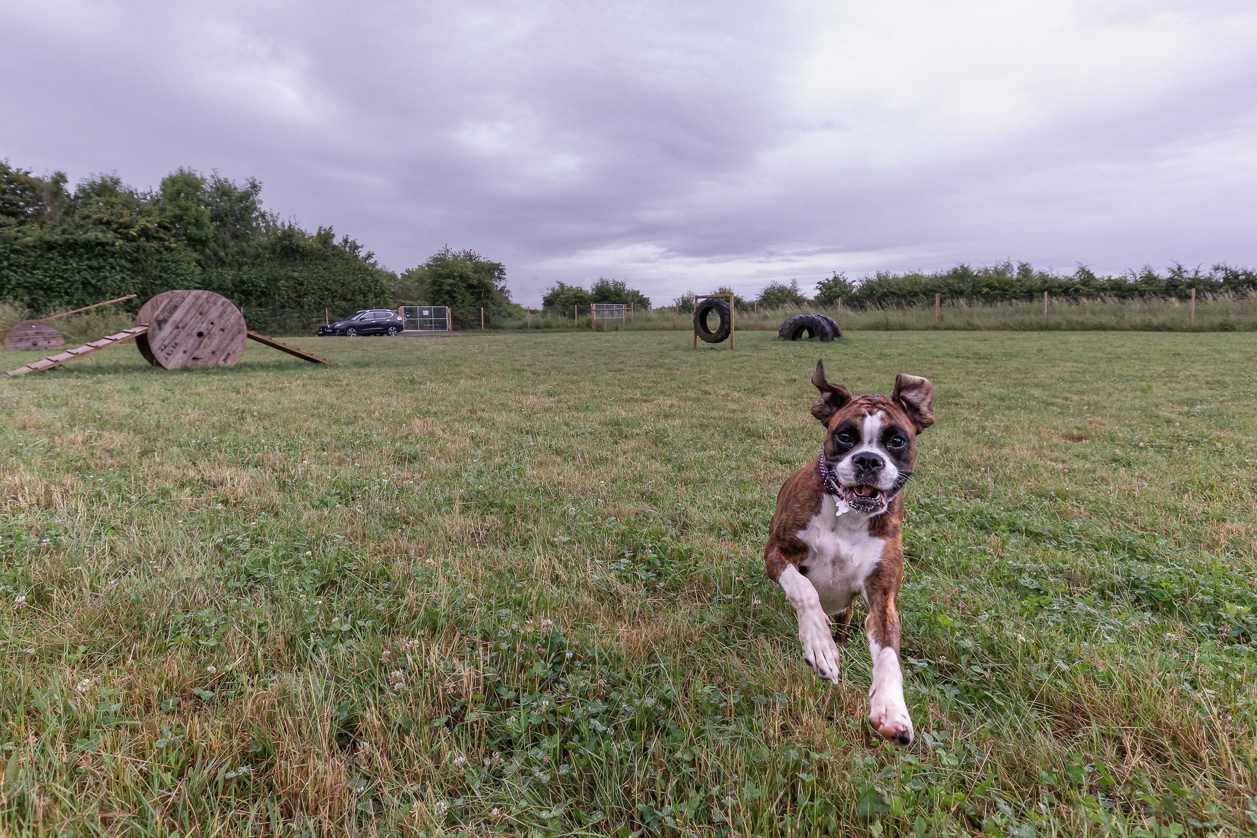 walkies-0021-DeNoiseAI-standard.jpg