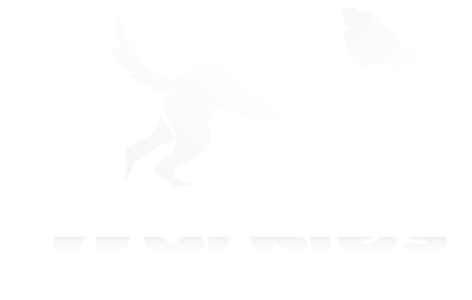 Walkies Secure Dog Paddock - Bath