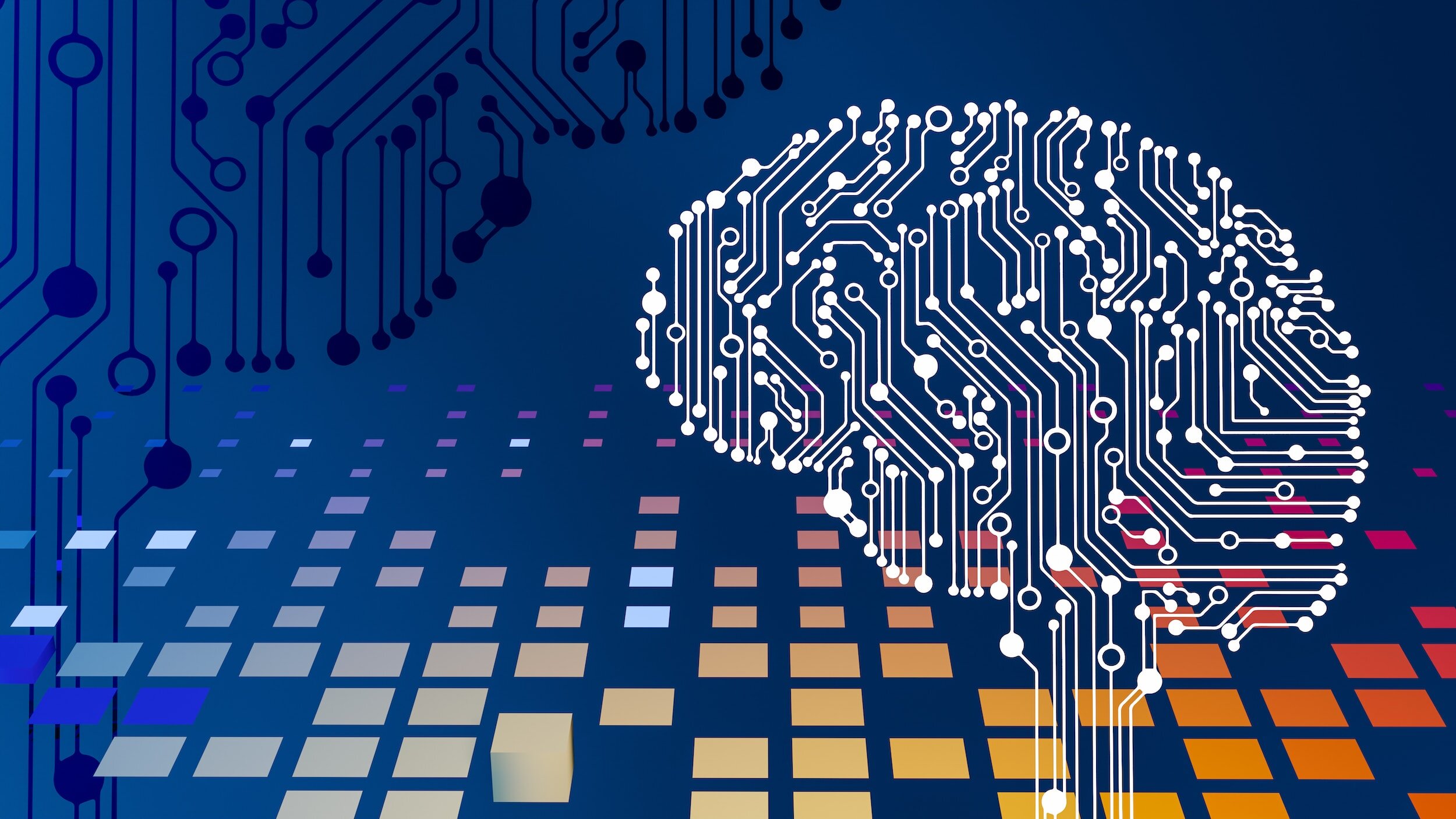 The Dunning-Kruger Effect in Humans and Its Echo in AI: How IRM Can Help