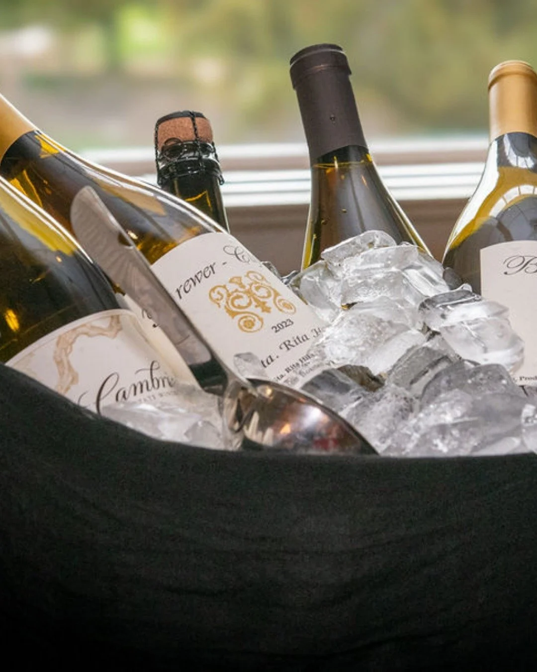 Thank you to everyone who joined us for The Big Wine Event at South Hills Country Club. 

It was such a fun and wonderful evening filled with laughter, friendship, and generosity. 

Because of you, we&rsquo;re able to continue supporting the kids and