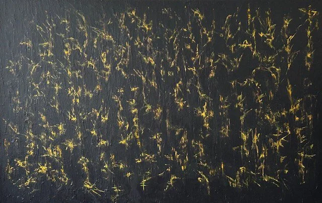 Fireflies In Amazonia At Night, Commissioned