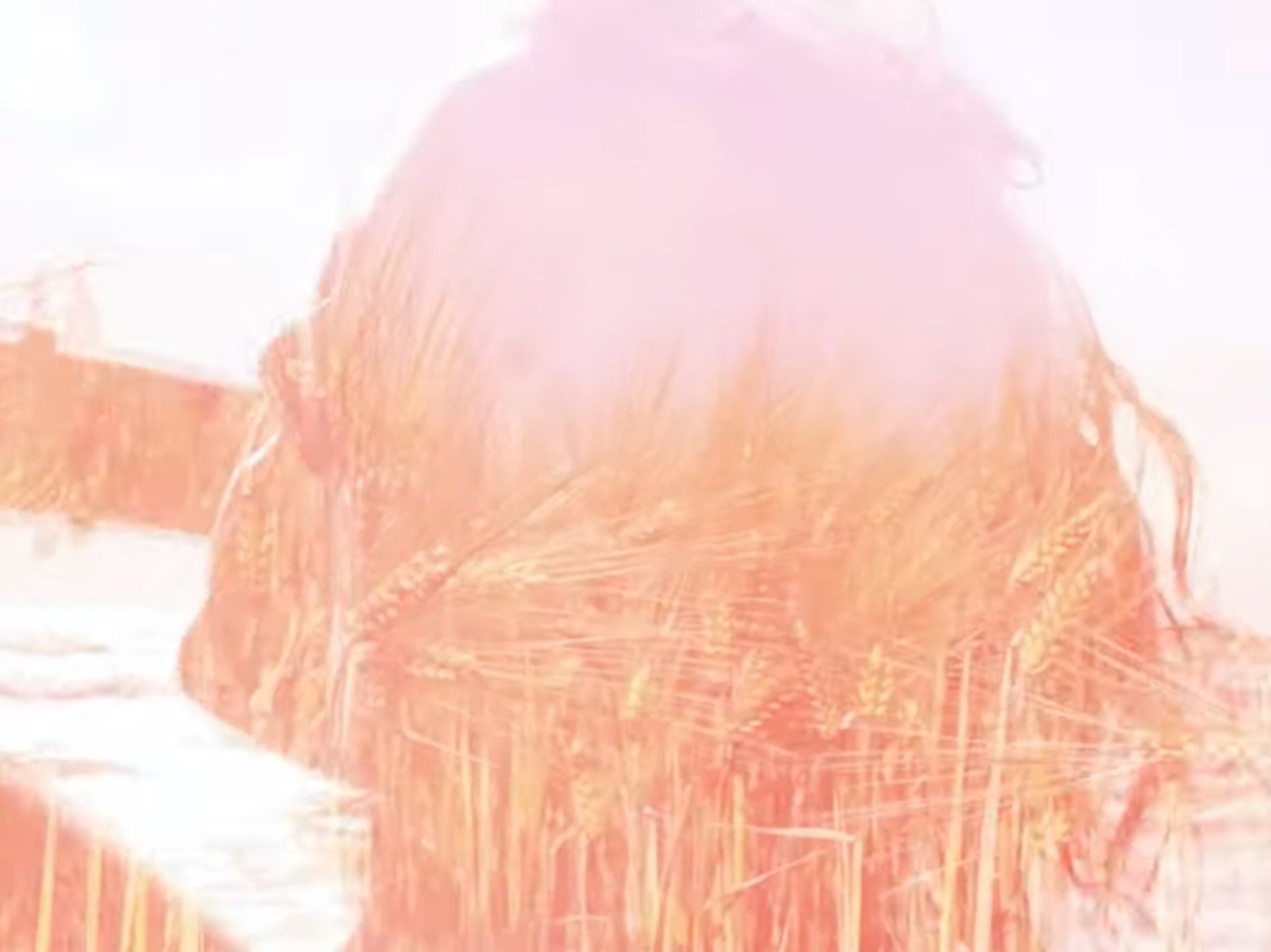 Music Video  (2012)