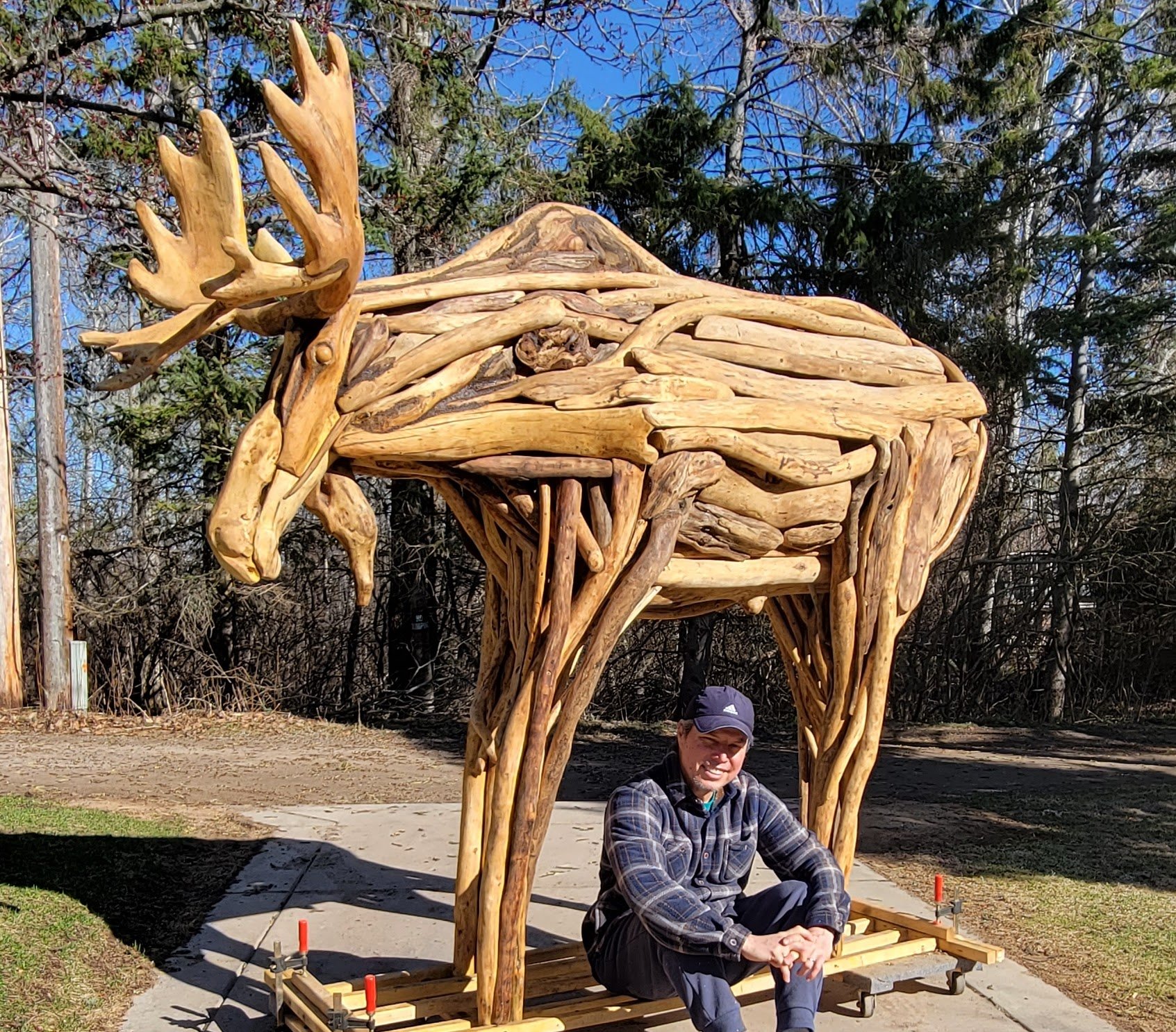 Roballo and Humberto, the Moose.
