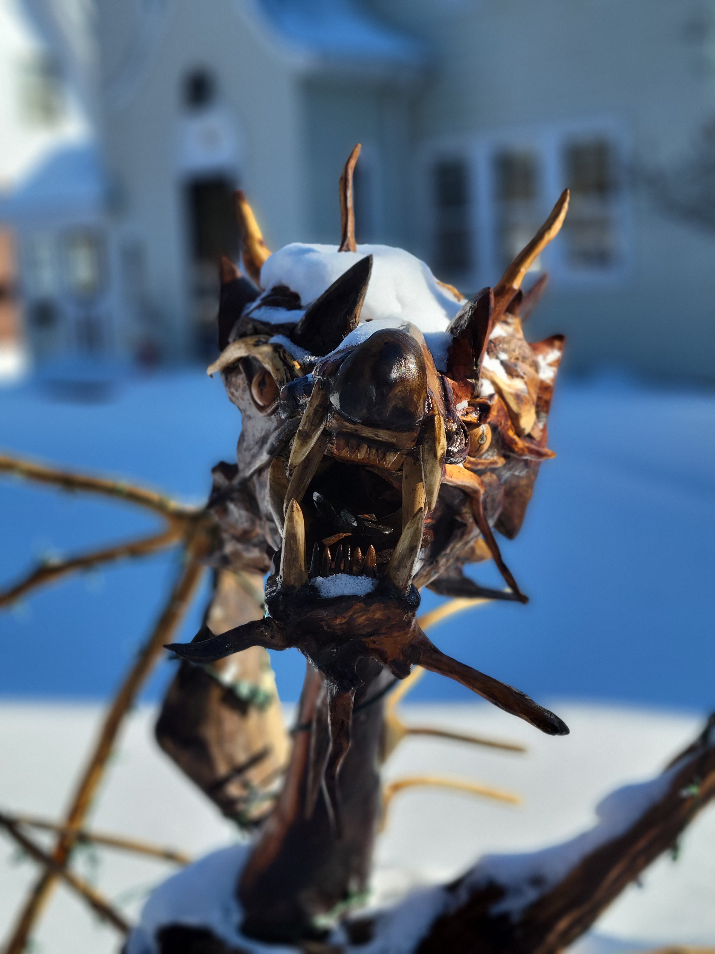 The dragon looked crabby. We thought it was because of the snow on his head.