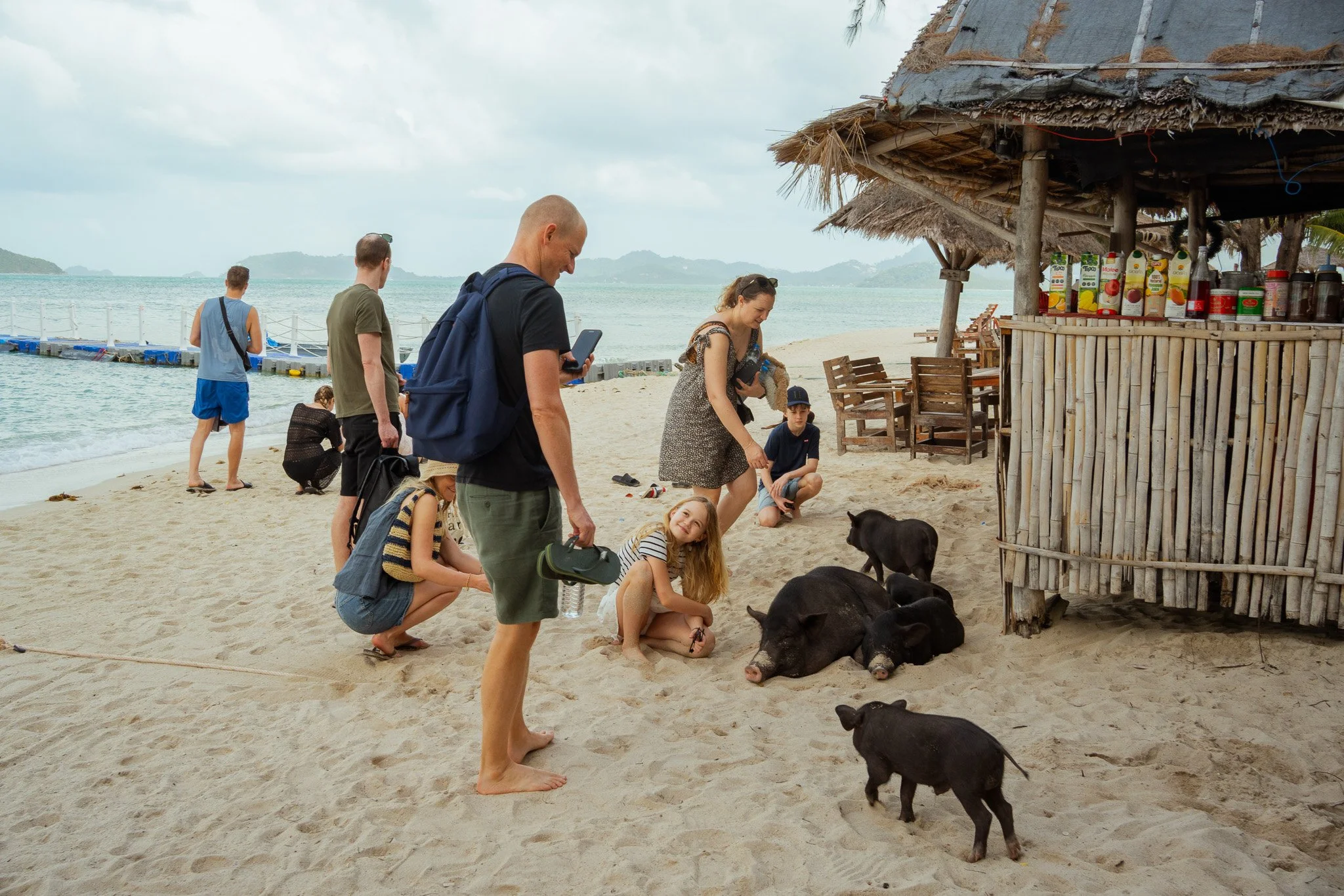 Pig Island, Ko Samui