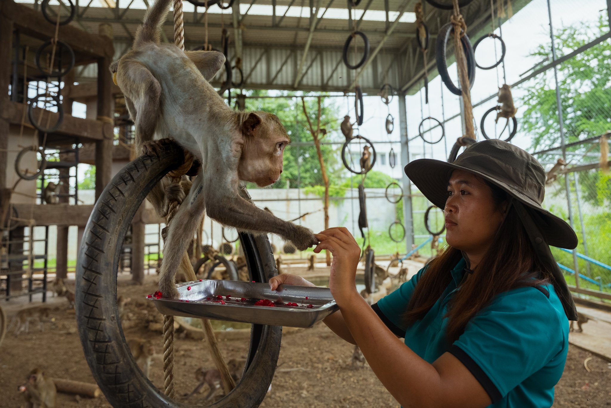 Lopburi_Telegraph-39.jpg