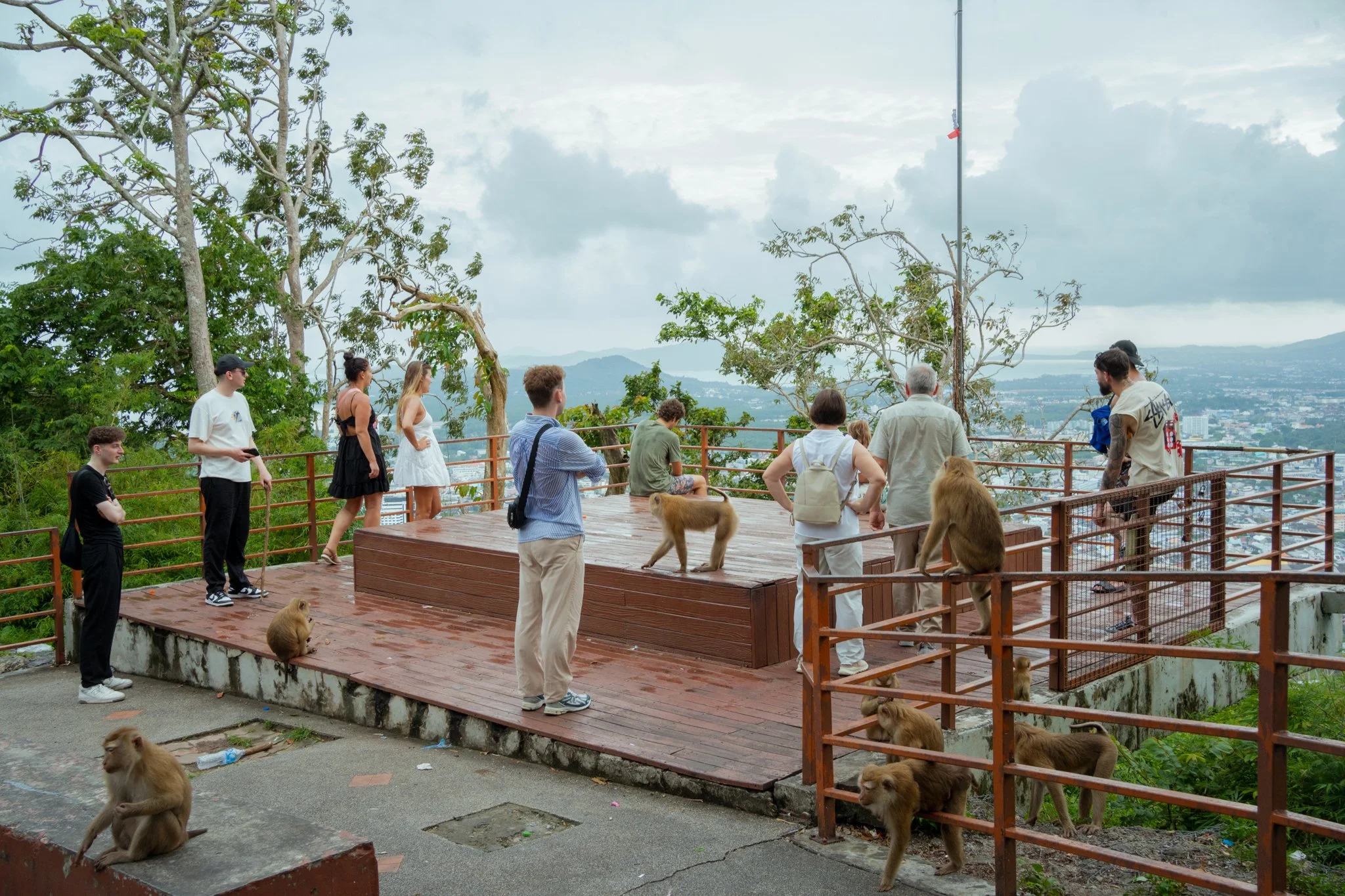 Monkey Hill, Phuket