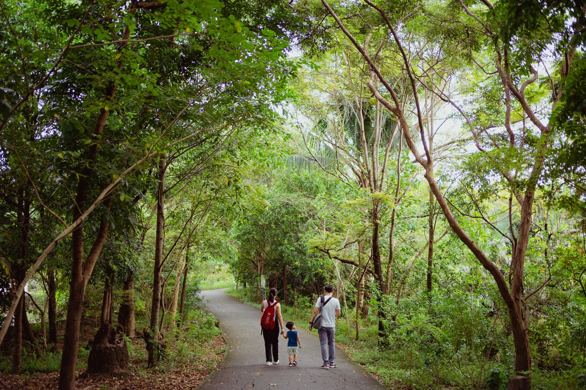 Bangkrachao, Bangkok