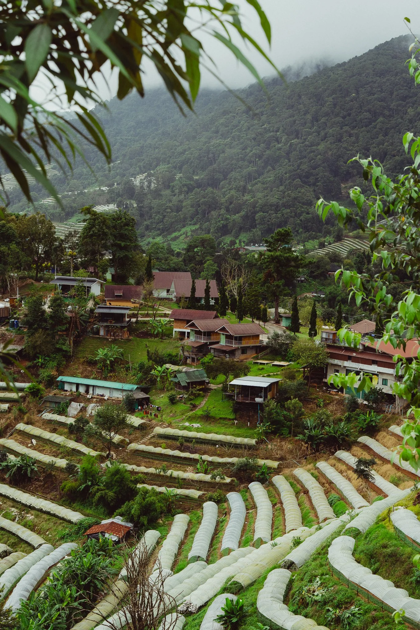 Rapha_Chiang Mai_TH_Mailee Osten-Tan_HIRES-060.jpg