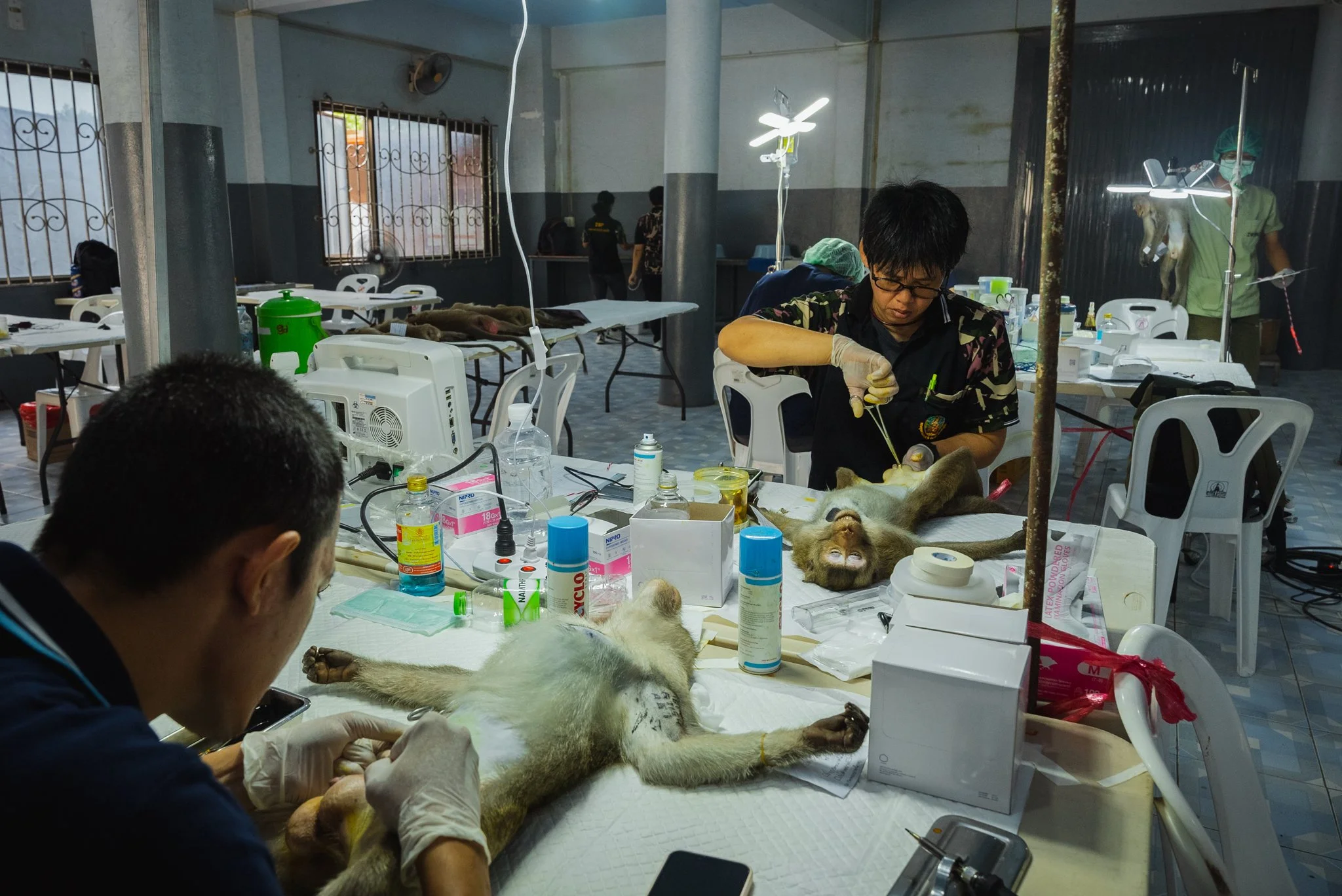 Lopburi_Telegraph-16.jpg