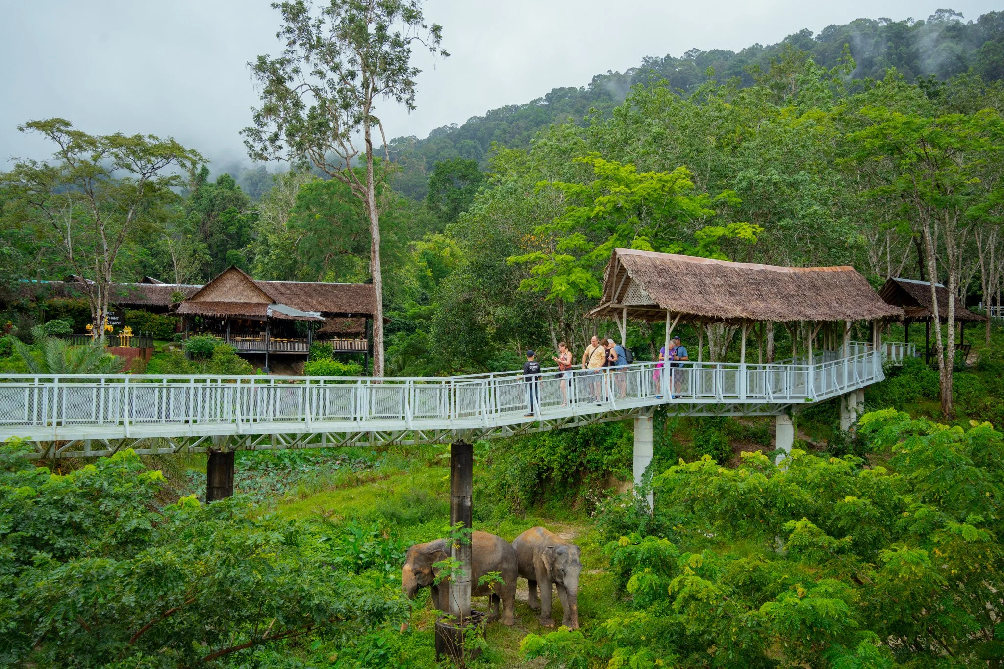 Phuket Elephant Sanctuary, Phuket