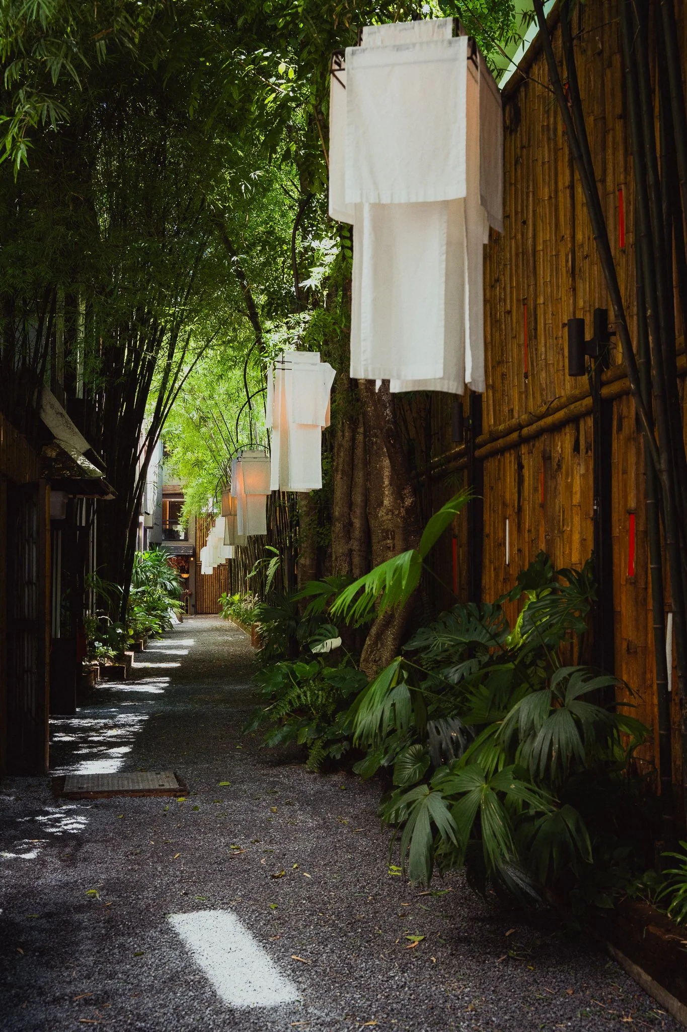 Rapha_Chiang Mai_TH_Mailee Osten-Tan_HIRES-015.jpg