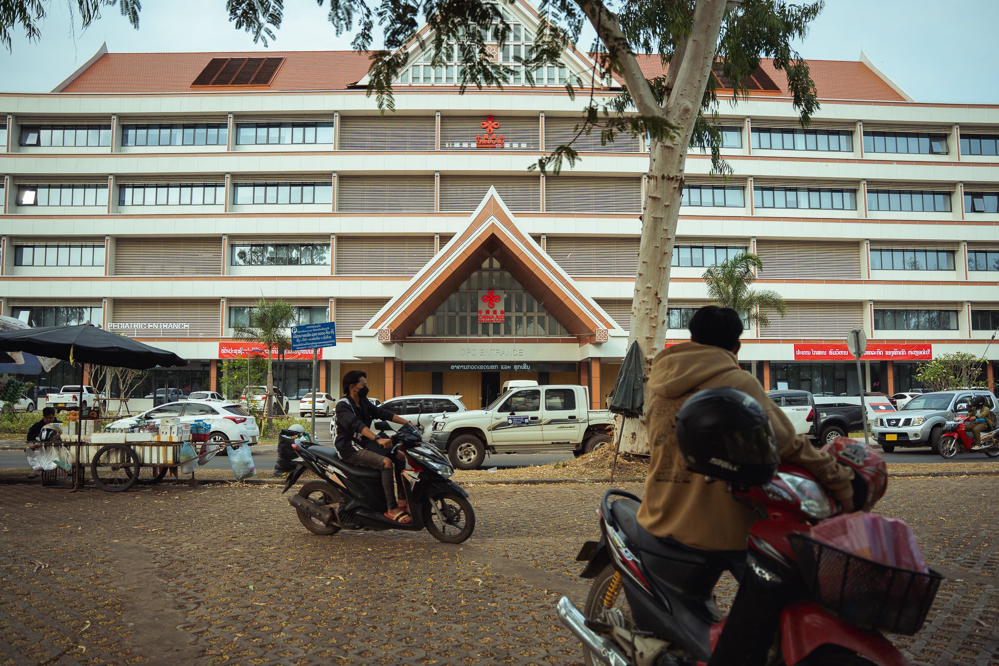 Tobacco_Examination_Mailee Osten-Tan-01.jpg