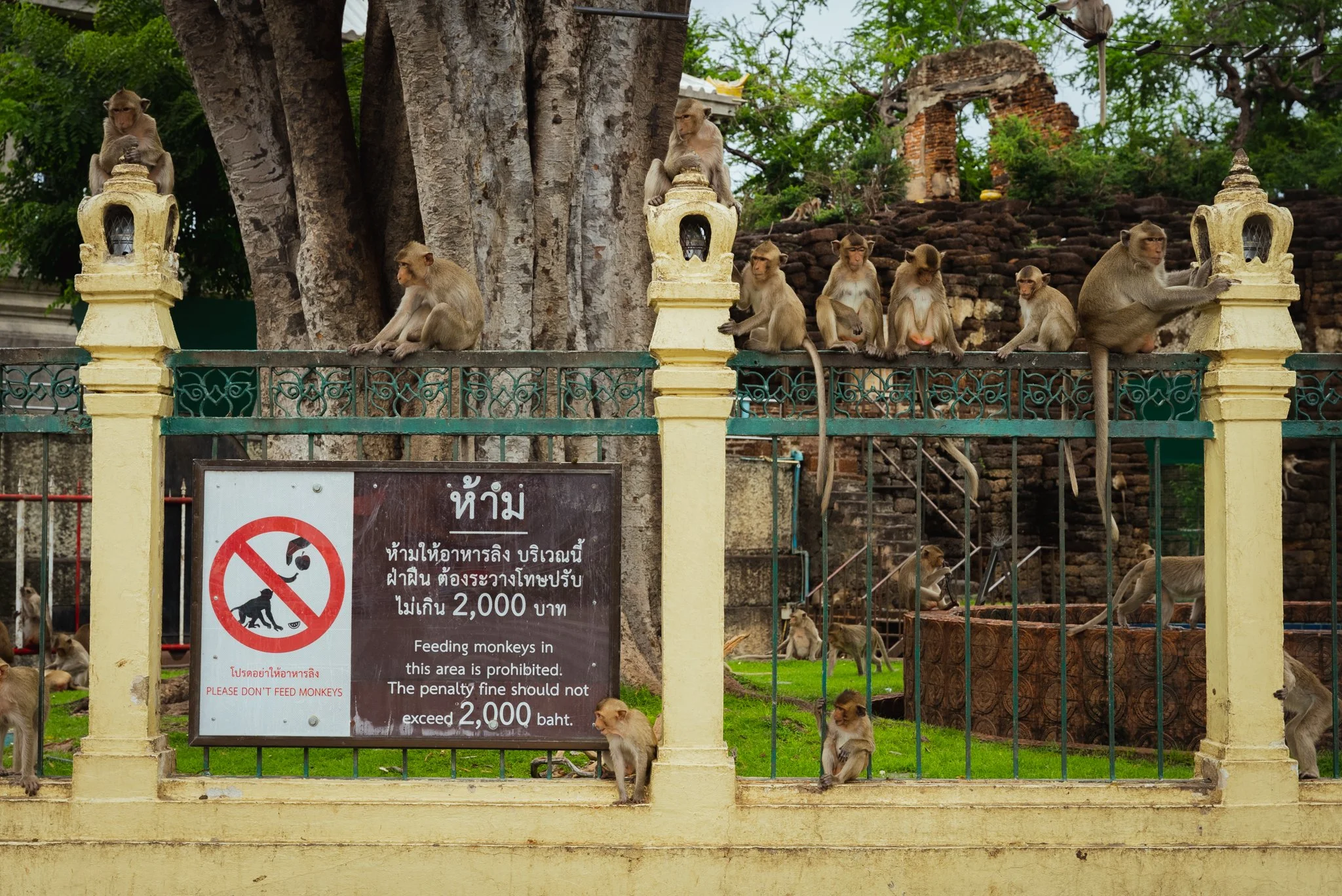 Lopburi_Telegraph-25.jpg