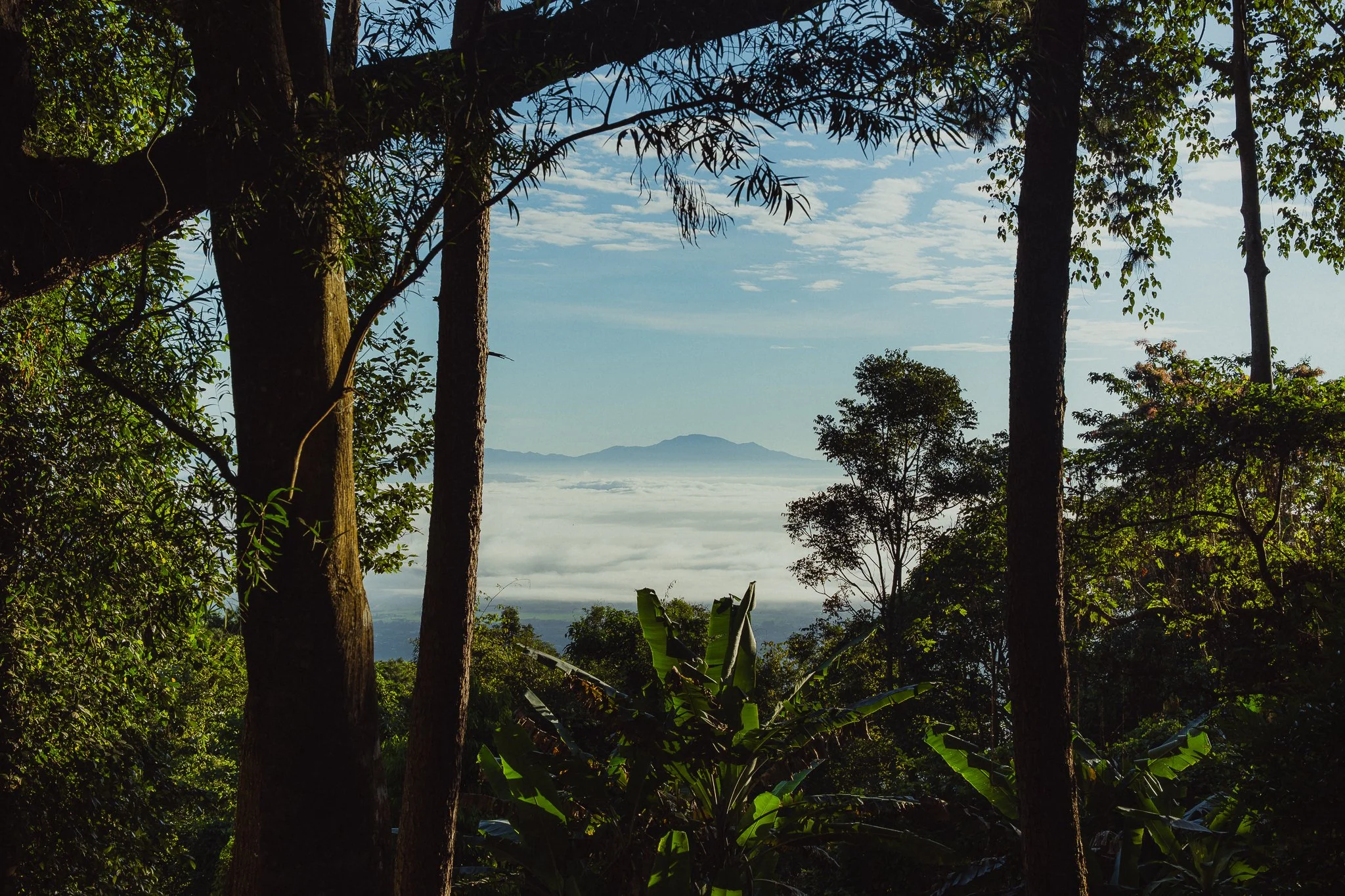 Rapha_Chiang Mai_TH_Mailee Osten-Tan_HIRES-097.jpg