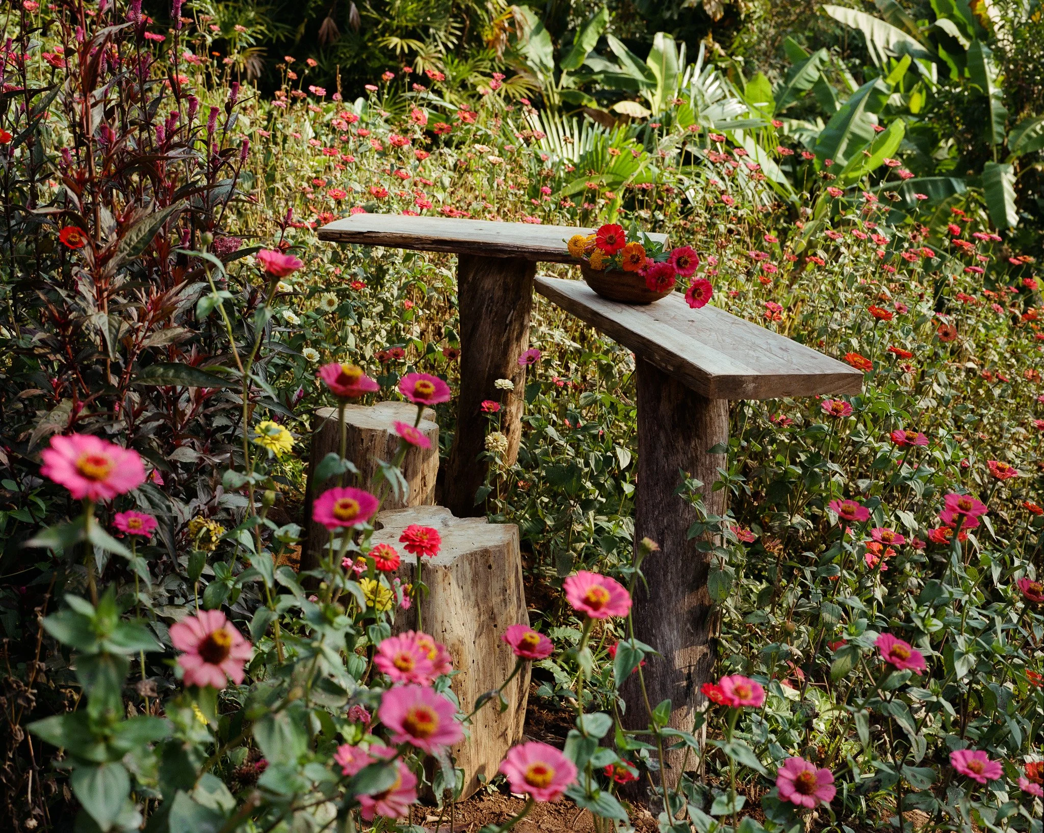 Thai Wellness | Four Seasons Magazine