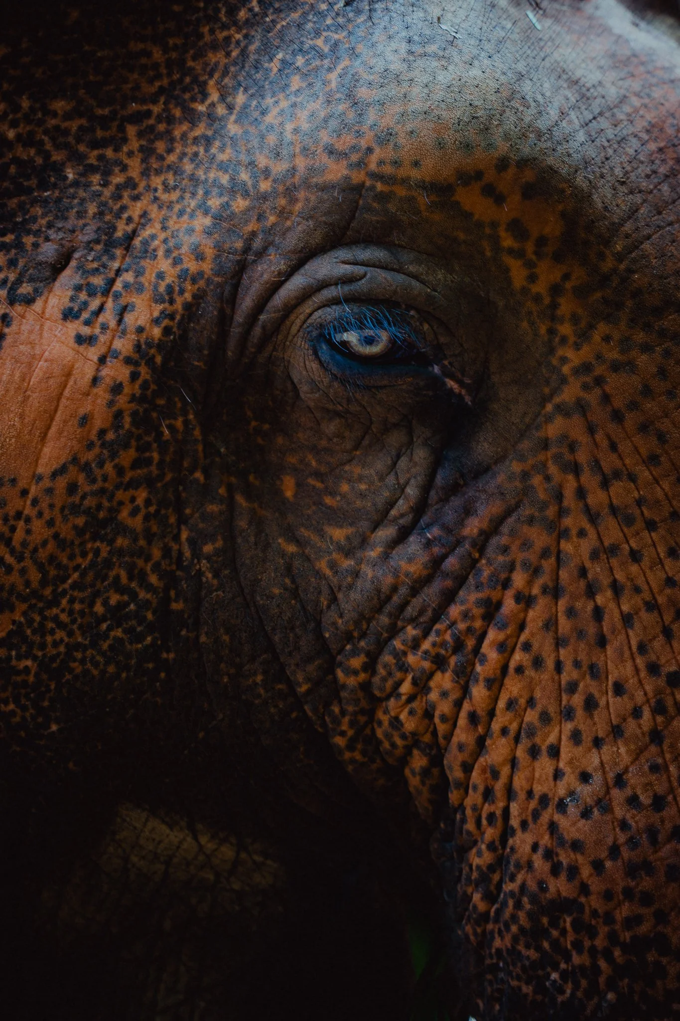 Rapha_Chiang Mai_TH_Mailee Osten-Tan_HIRES-043.jpg