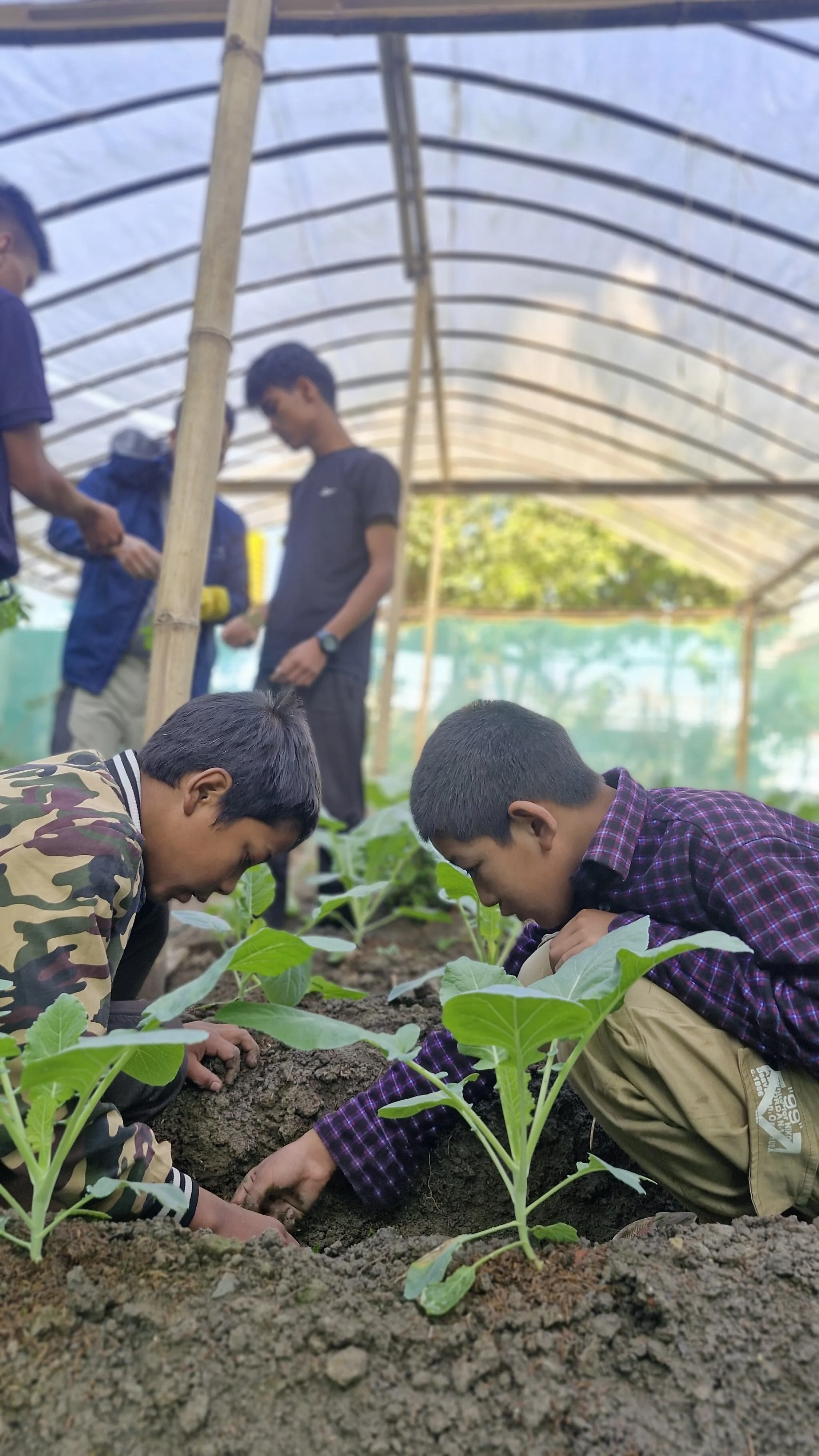 Himalayan Childrens Future Funds Image 2025-12-02 at 22.27.12.jpeg