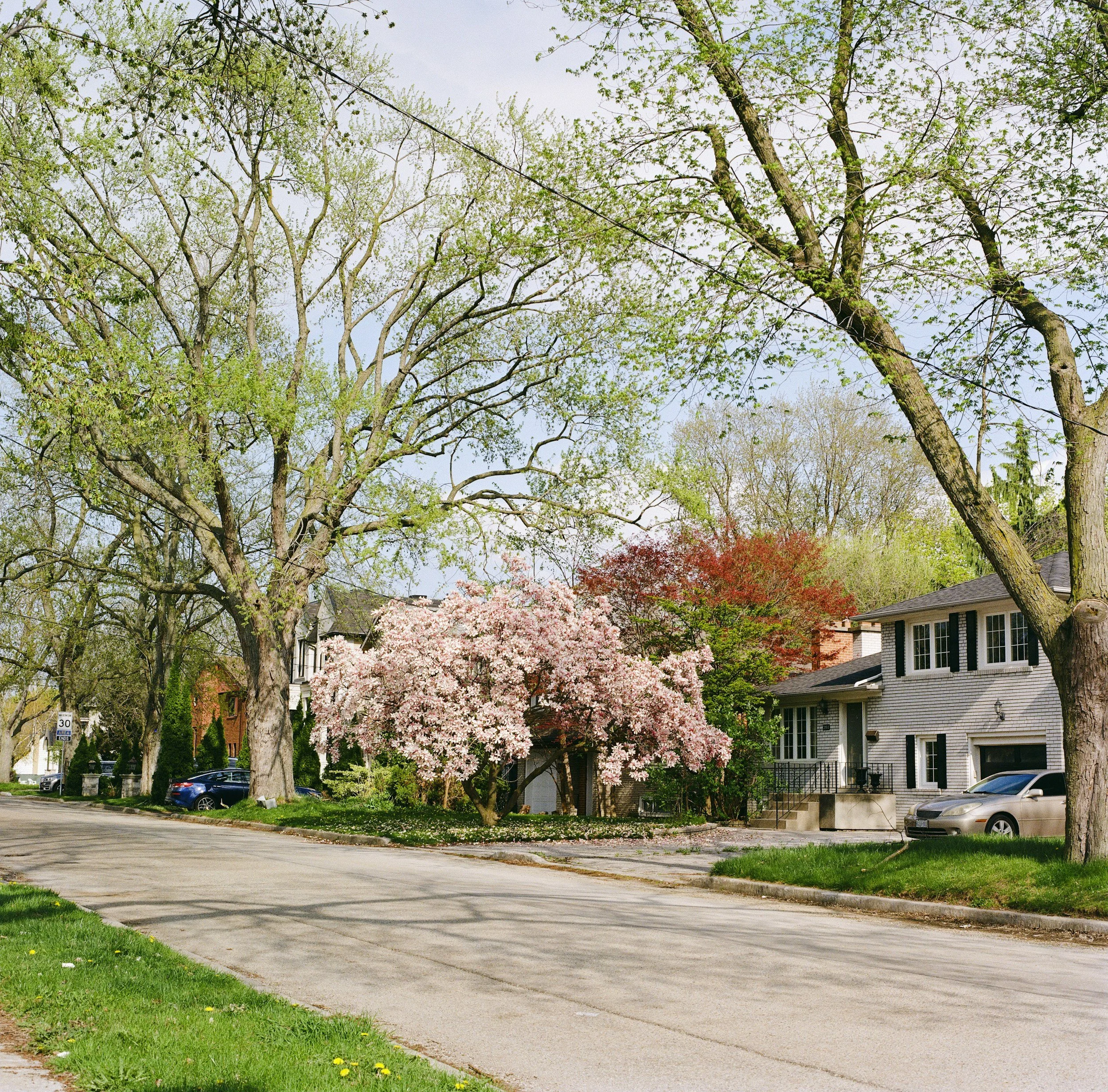 The Spring Market is here! But is the market actually going to get better?