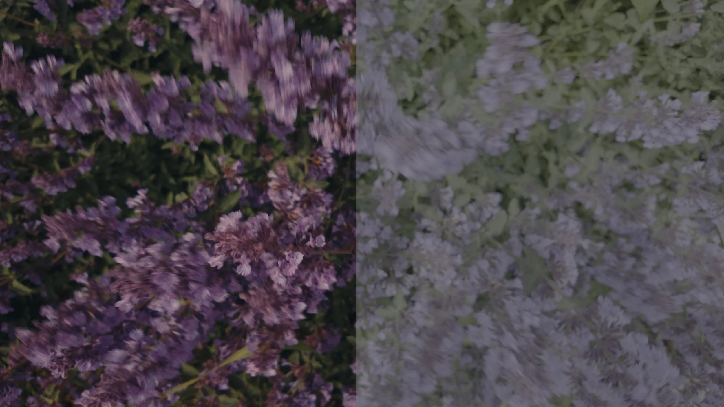 LUT 4.jpg