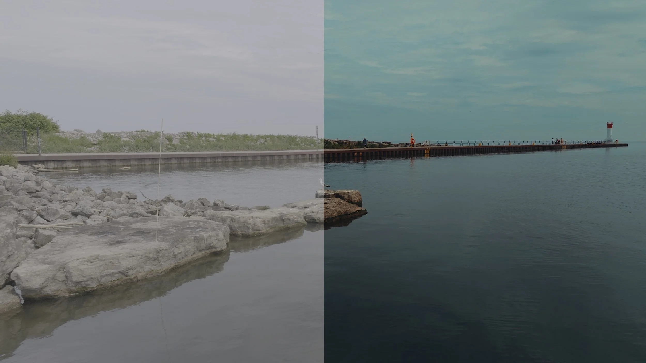 LUT FRAME 2.jpg