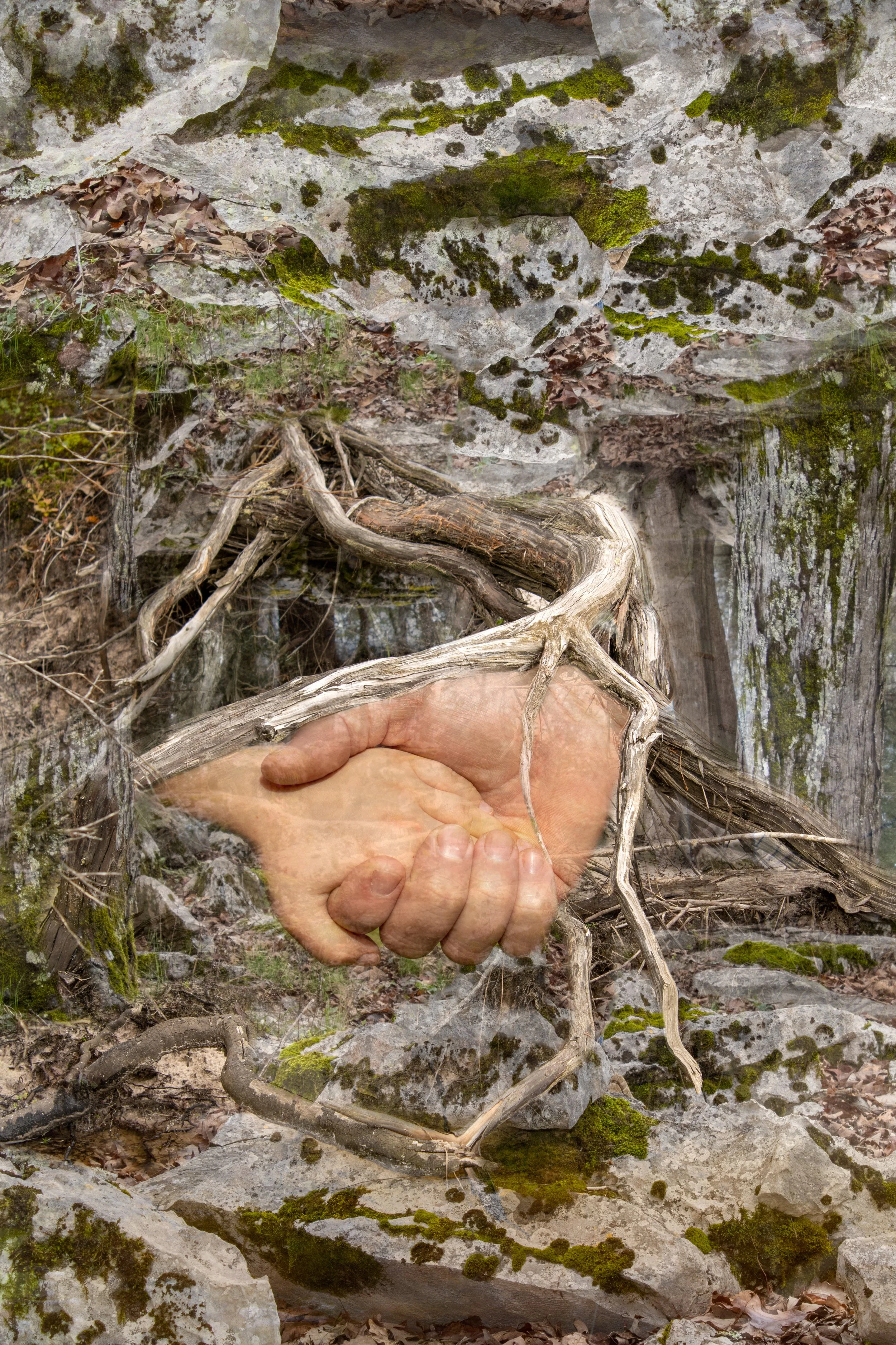 Holding Hands Green Rocks Roots IMG_8303 revised P_.jpg
