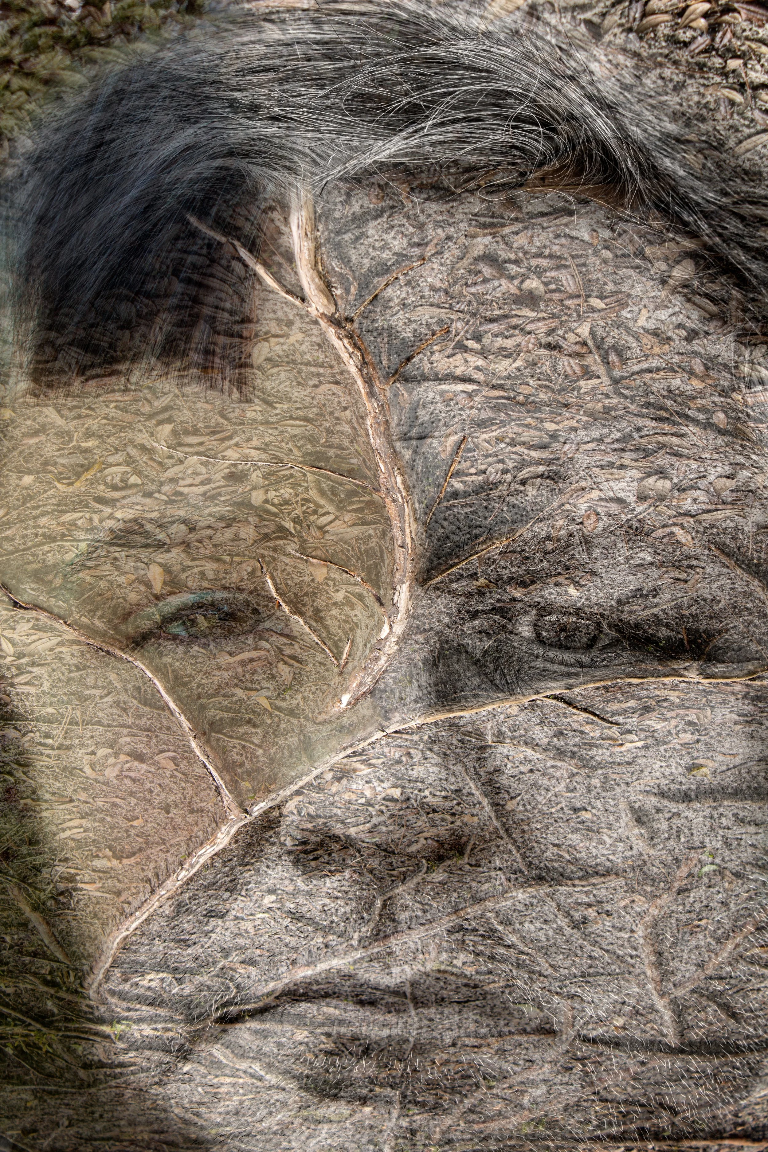 Two Faces small  IMG_8312 P_.jpg