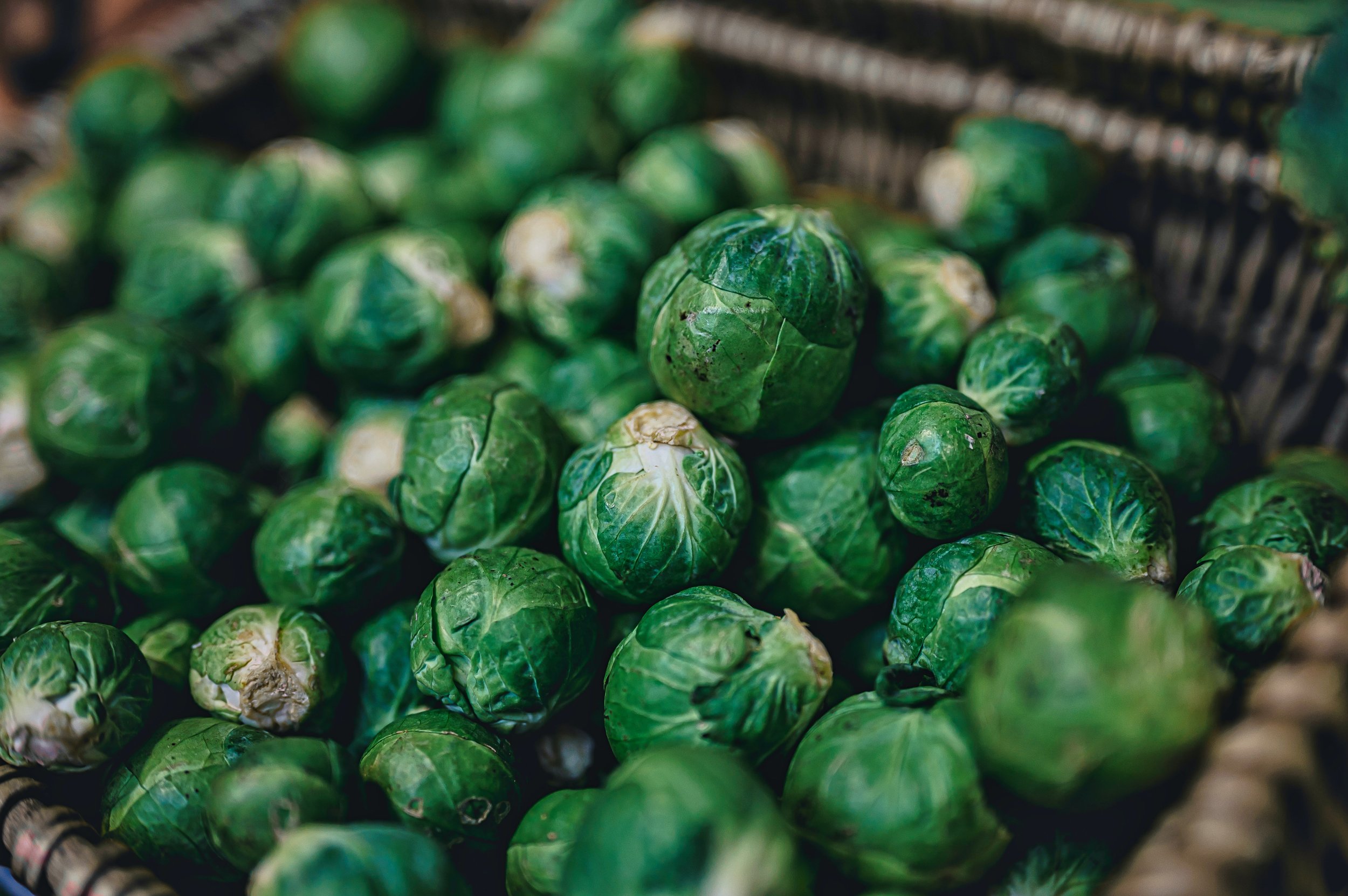 Brussell Sprout 3.jpg