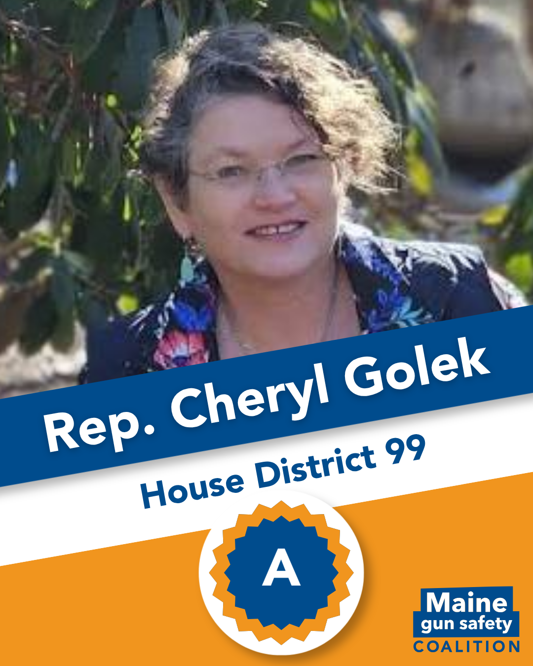 Rep. Golek, Cheryl.png