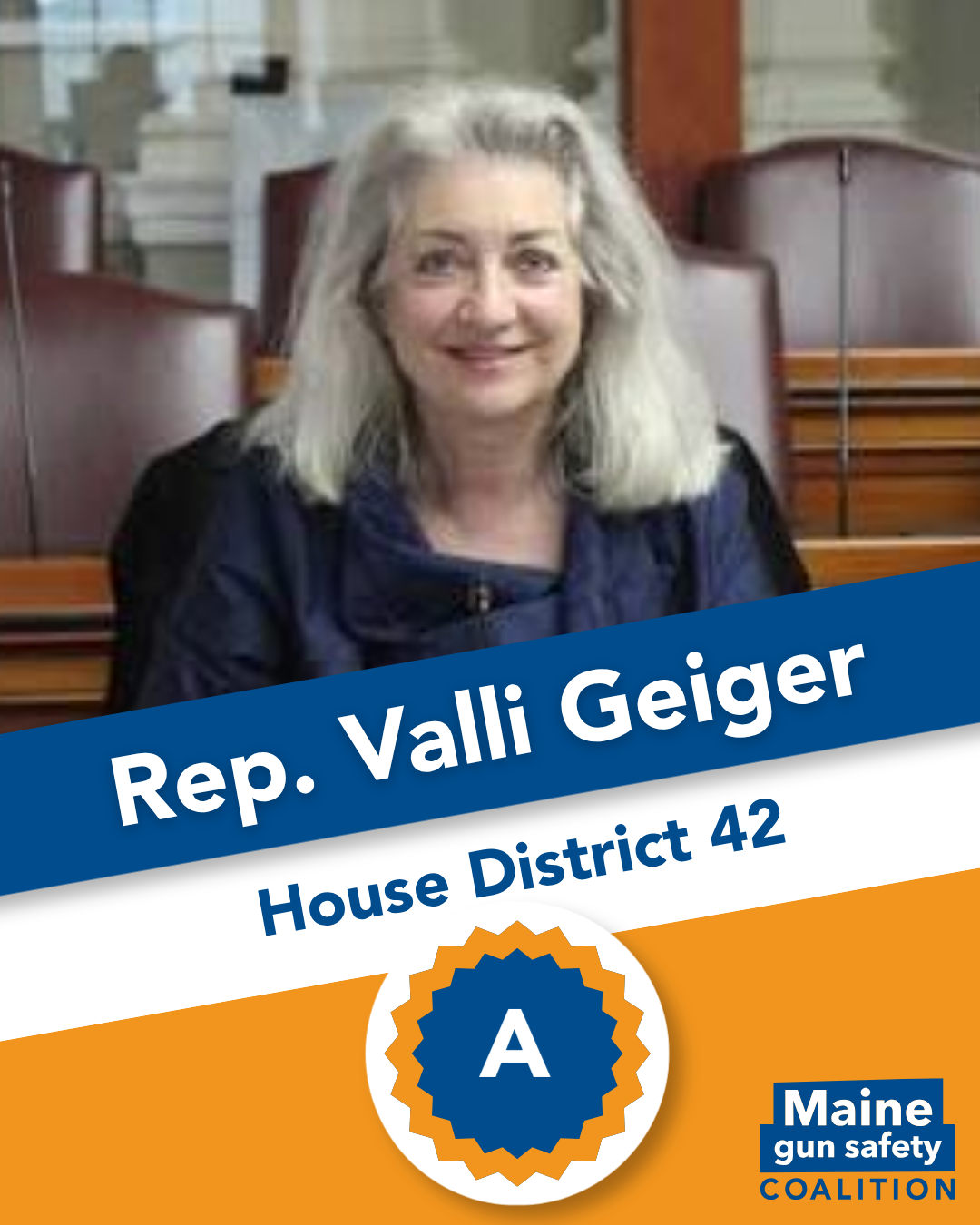 Rep. Geiger, Valli.png