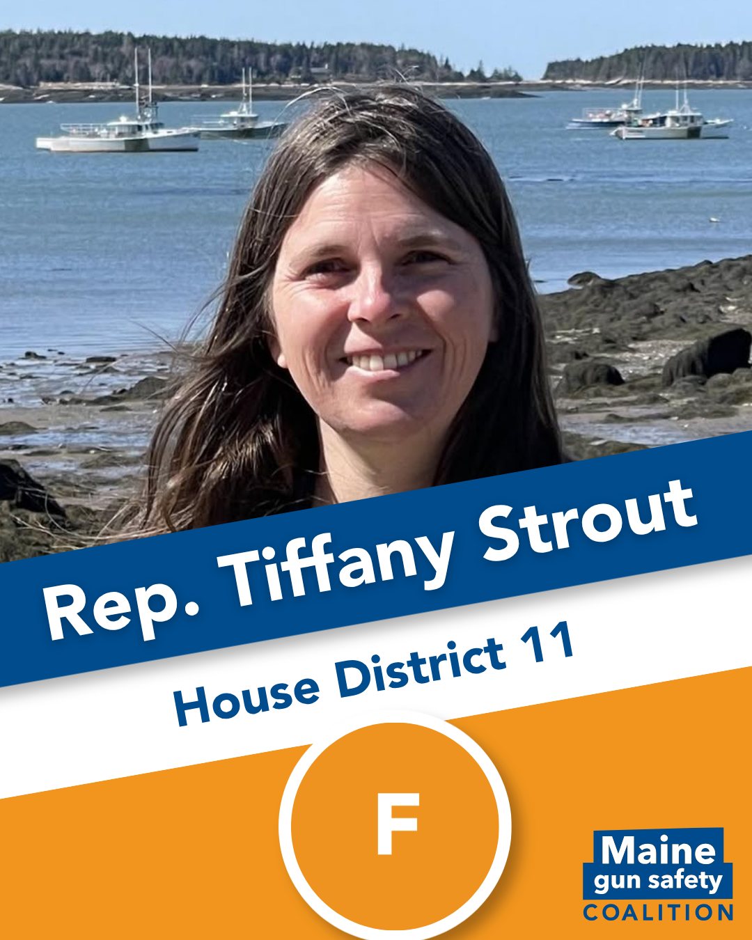 Rep. Strout, Tiffany.png
