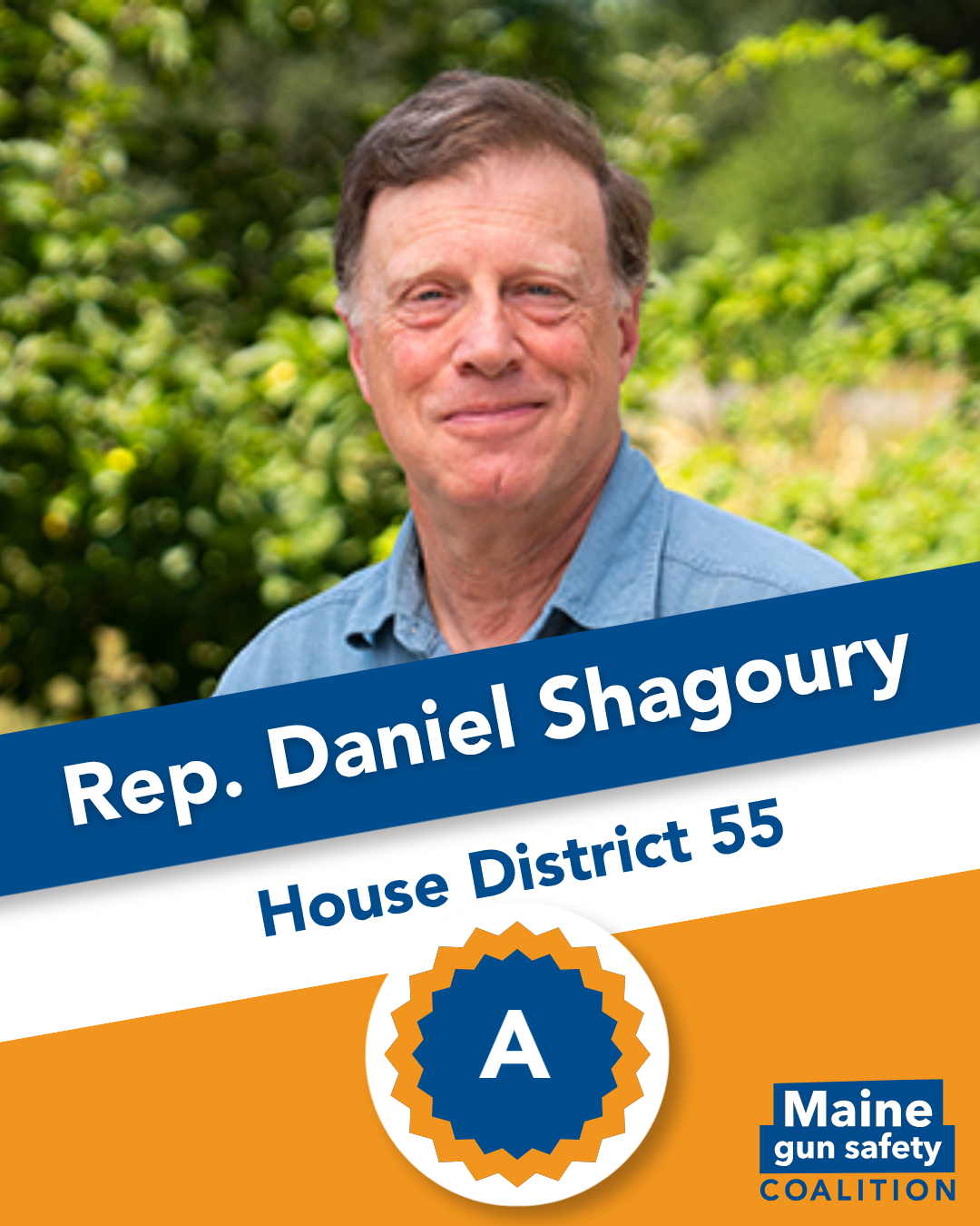 Rep. Shagoury, Daniel.png