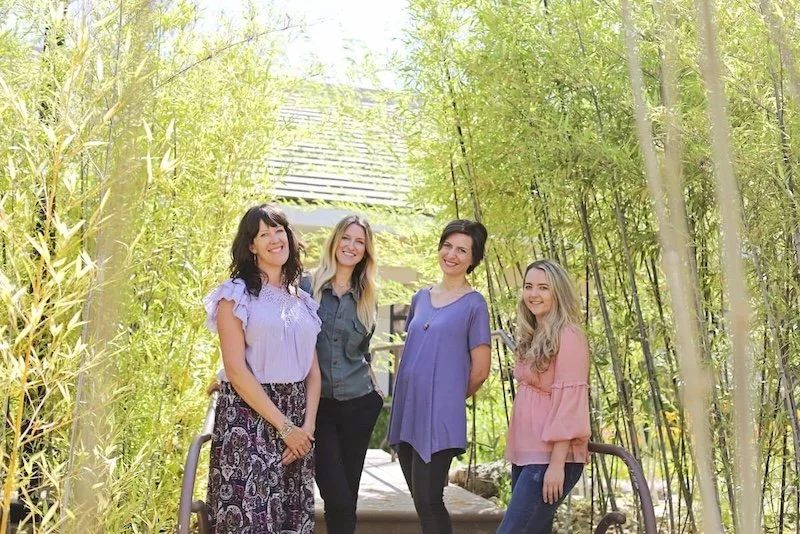 emdr el dorado hlls, emdr folsom, emdr san anselmo, emdr therapy