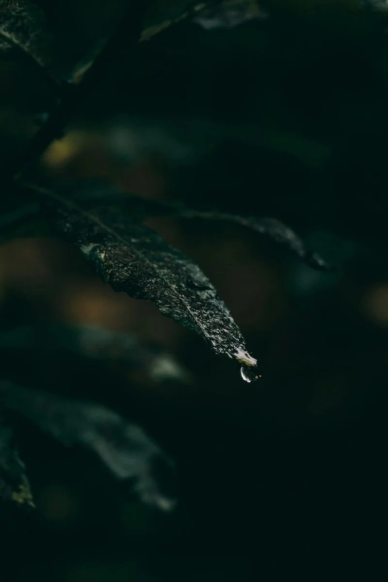 depression therapist sf, depression therapy san francisco, depression therapy sf