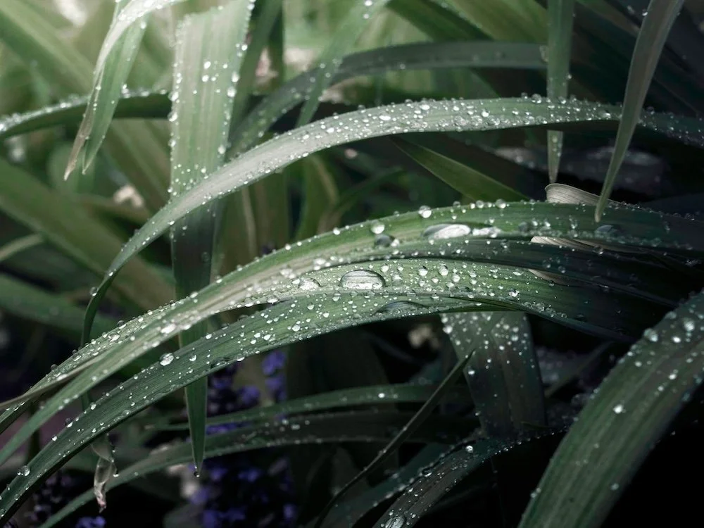 therapy for postpartum depression, best therapy for ppd