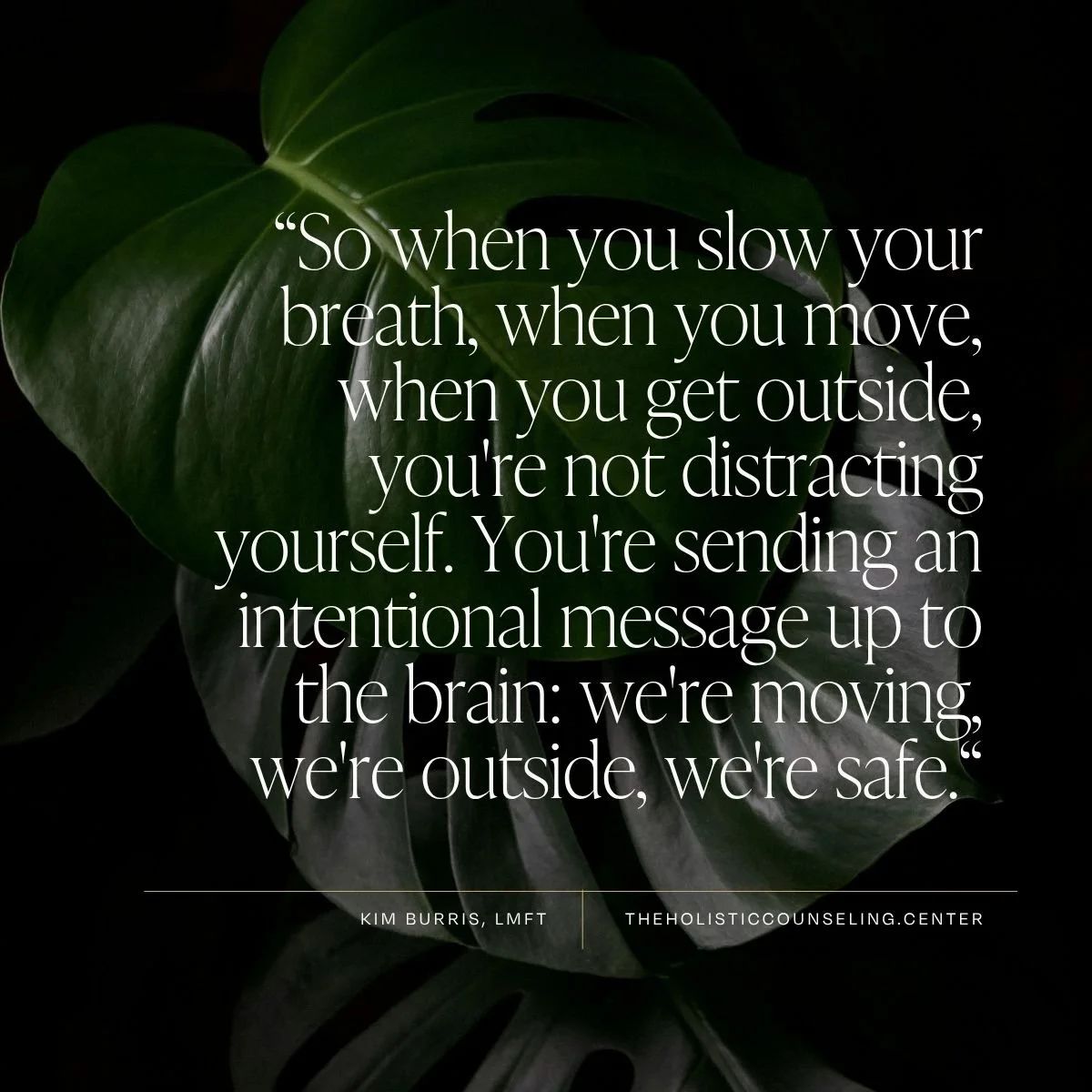how to heal anxiety naturally, what is the root cause of anxiety
