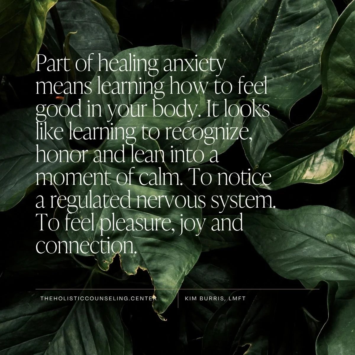 how to heal anxiety, holistic approach to anxiety, holistic healing for anxiety