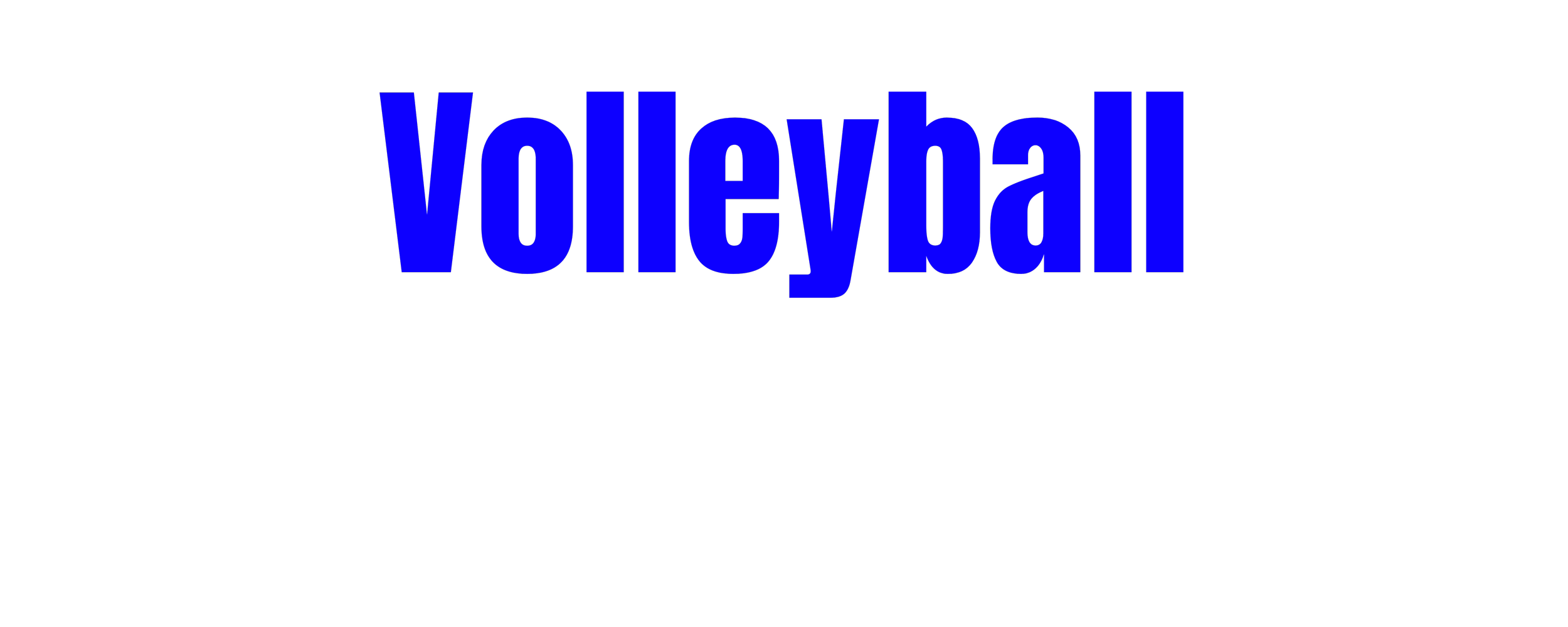 Volleyball — Northern Valley Sports Academy