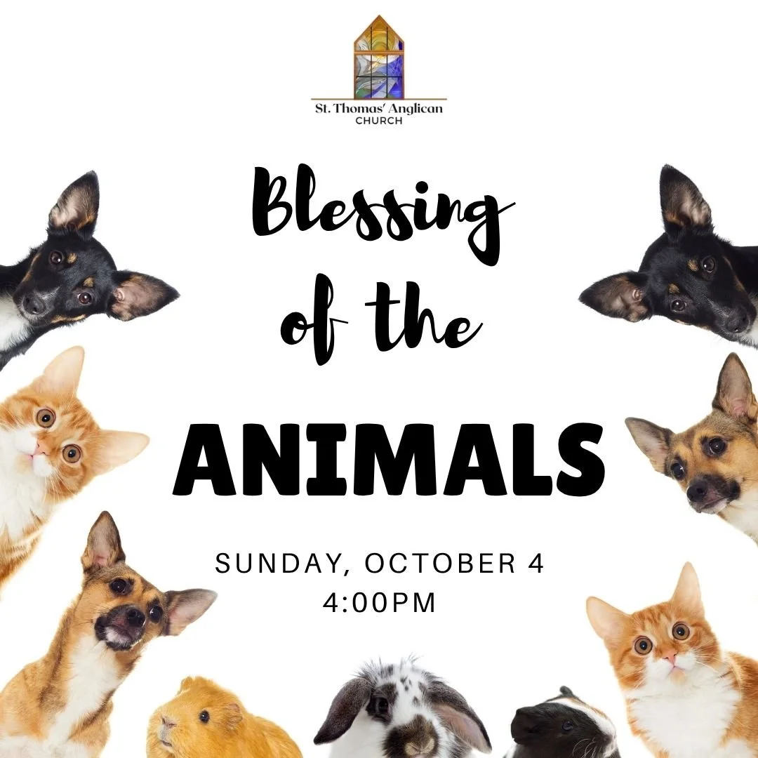 Blessing of  the Animals
