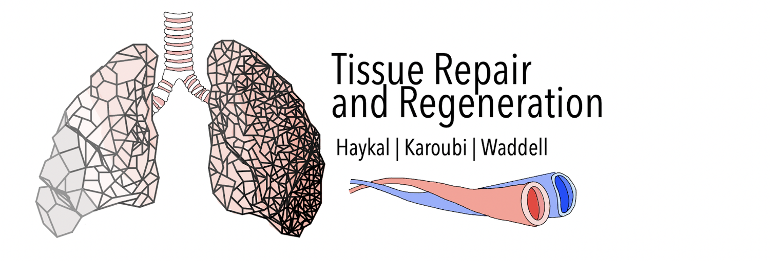 Tissue Repair and Regeneration Lab