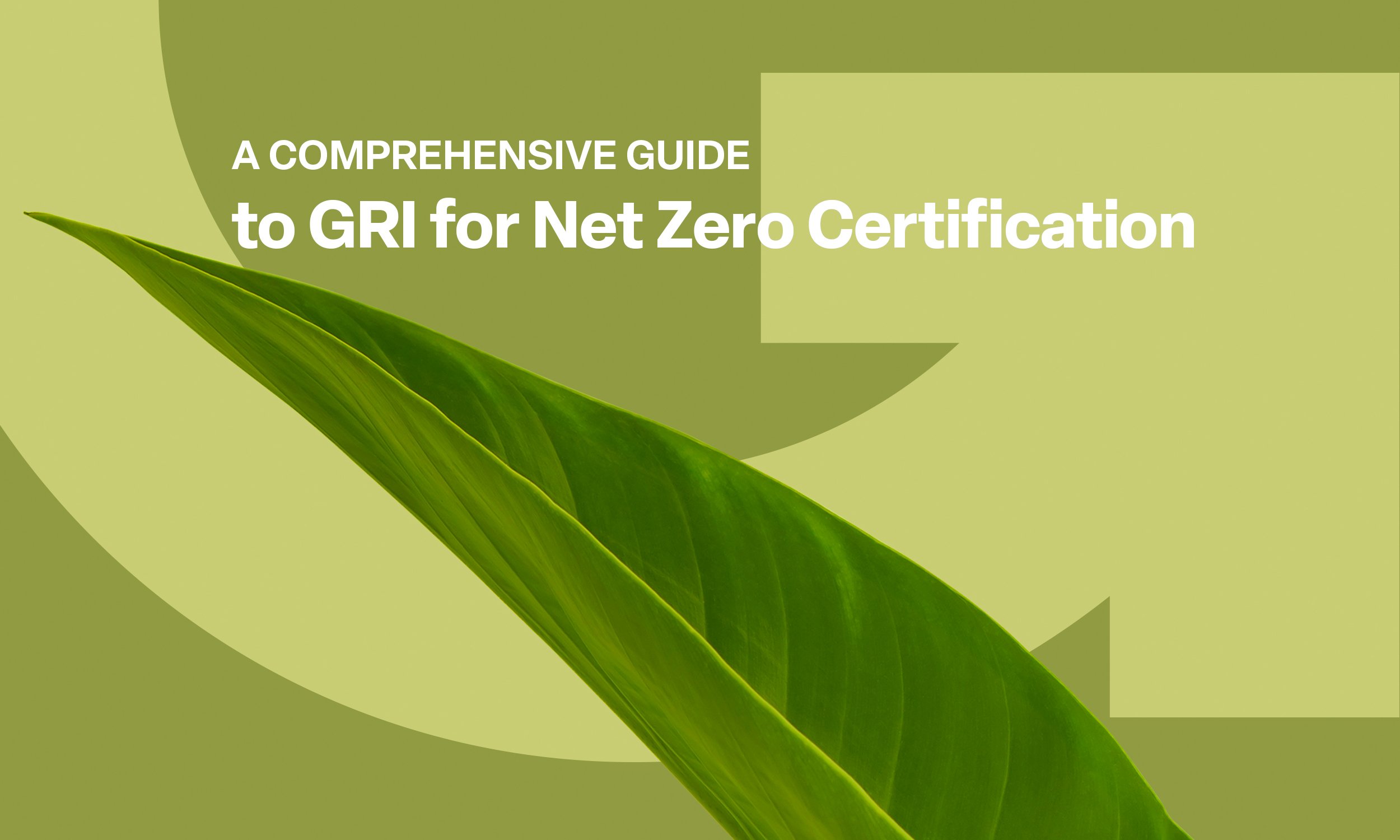 A Comprehensive Guide to GRI for Net Zero Certification
