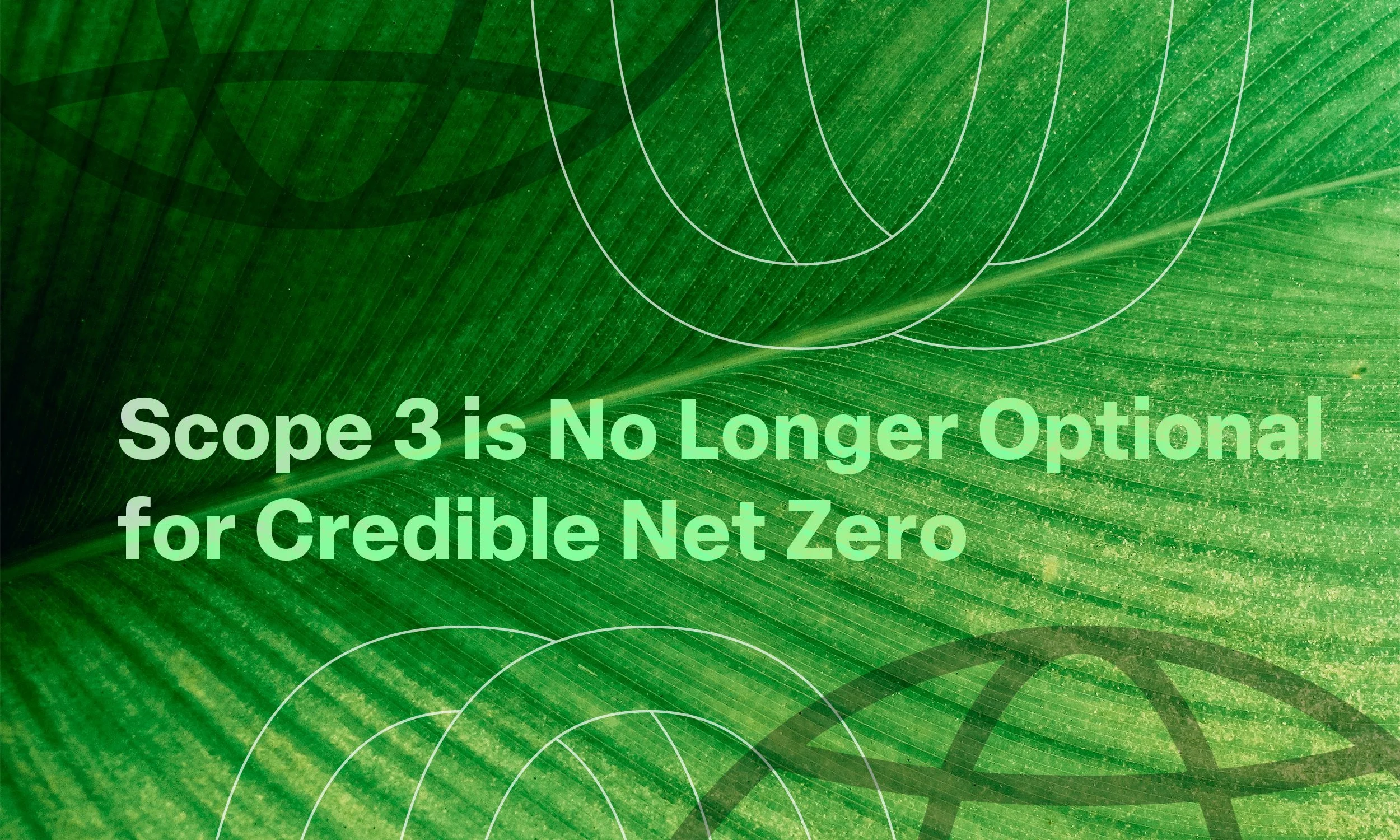 Scope 3 Is No Longer Optional for Credible Net Zero Claims