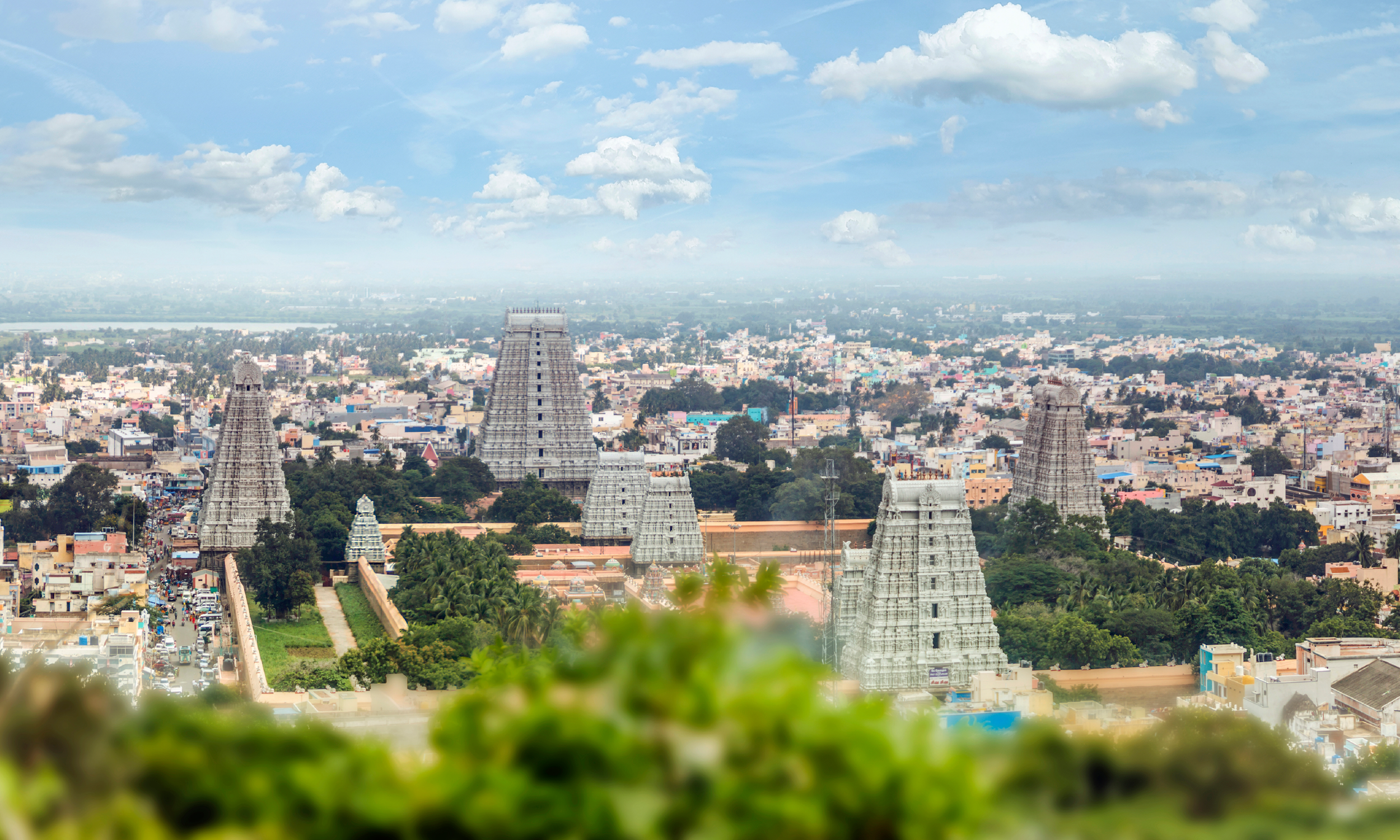 Home Ground for a Global Idea: What Tamil Nadu’s Passive Cooling Guidelines Mean to Me