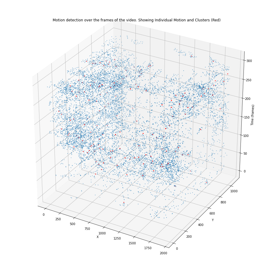 waggle like activity1 (1).png