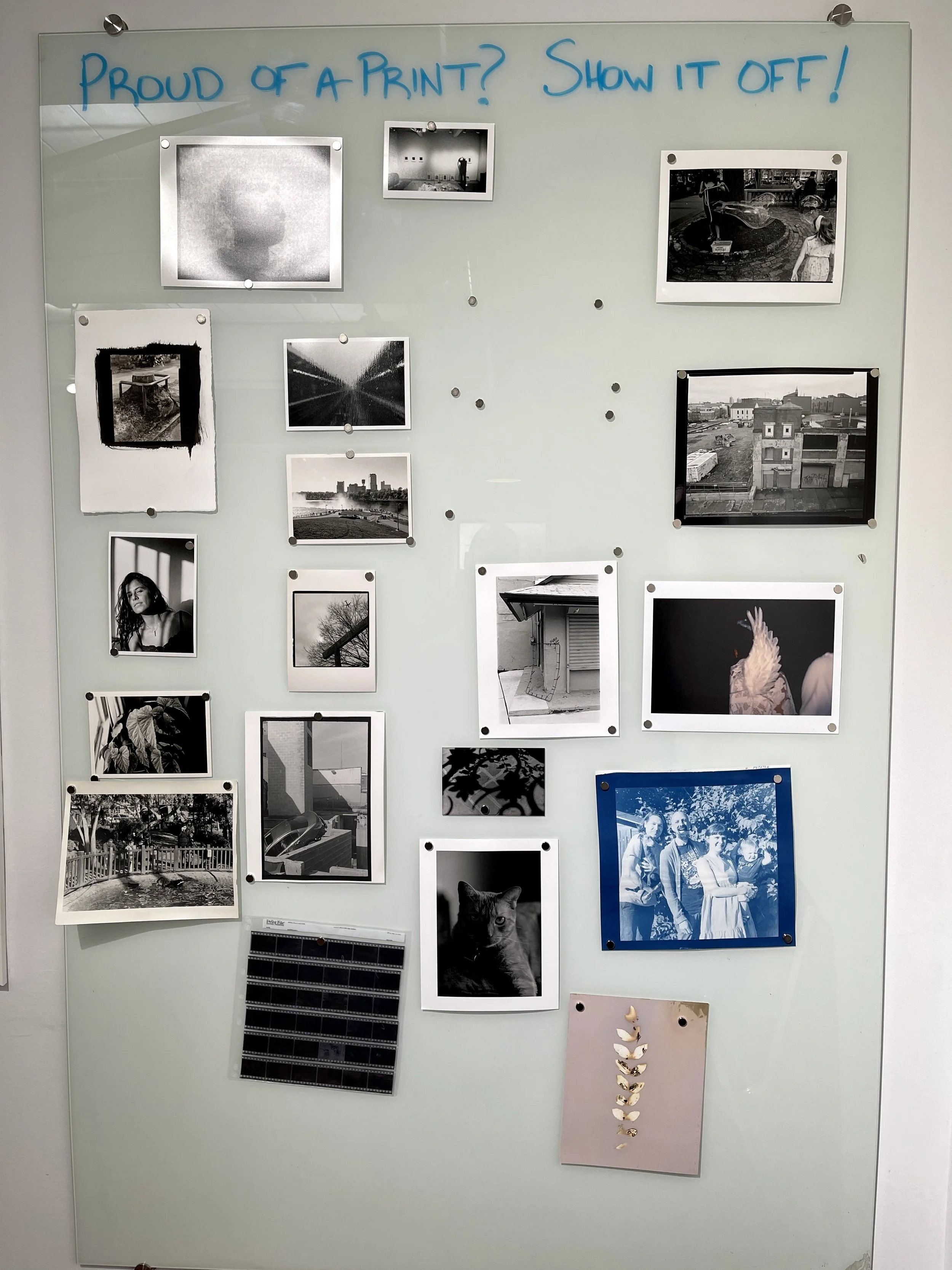 Darkroom Member Exhibition 2023 — The Halide Project